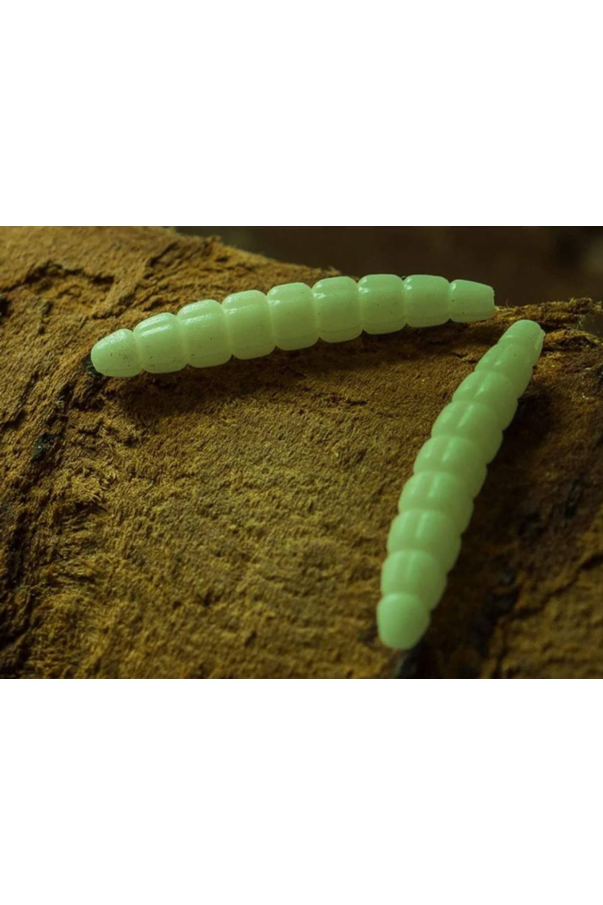 FishUp Trout Series Morio Cheese 3.1cm #101 Black 3.1cm #101 Black [1]