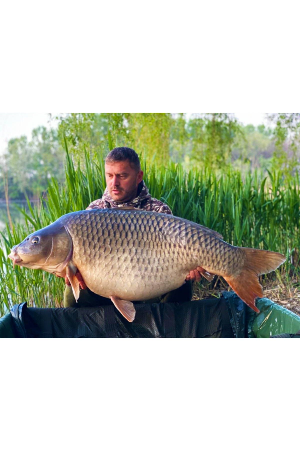 Select Baits Boilies Crab & Krill 20mm (fierte) [3]