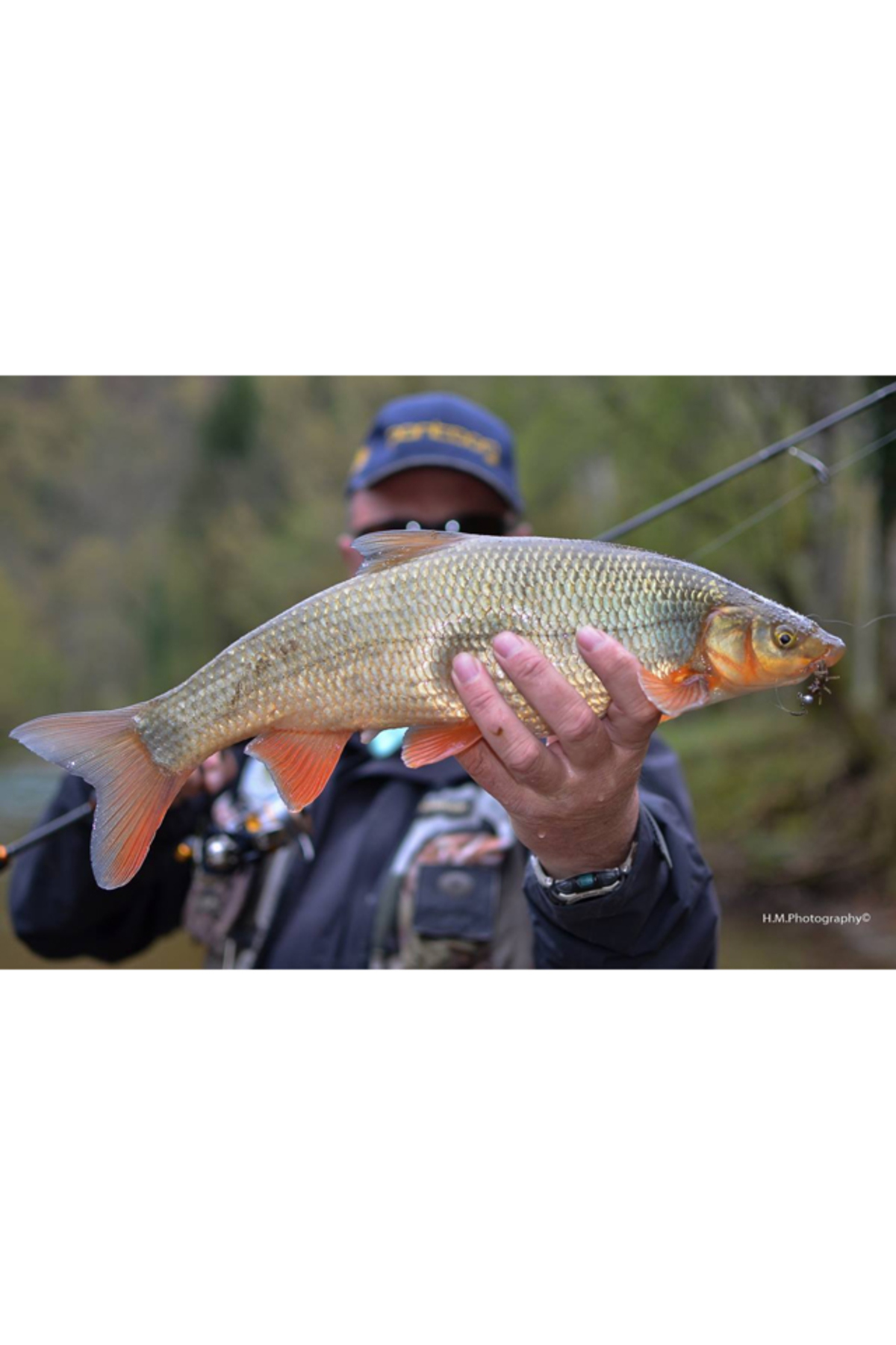 FishUp Stonefly 2.1cm #012 Chaos 2.1cm #012 Chaos [2]