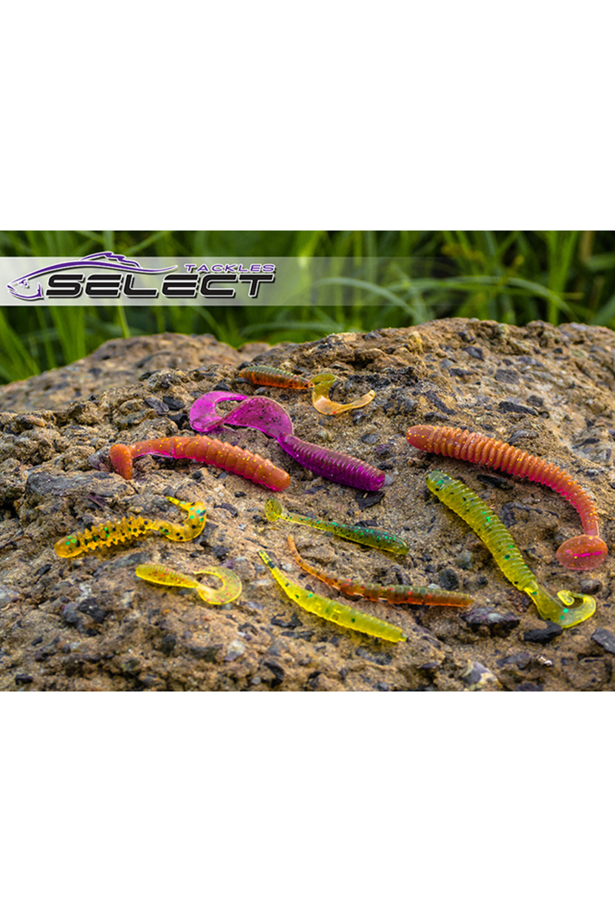 Shad Select Champion 5cm 999 Champion 5cm 999 [1]