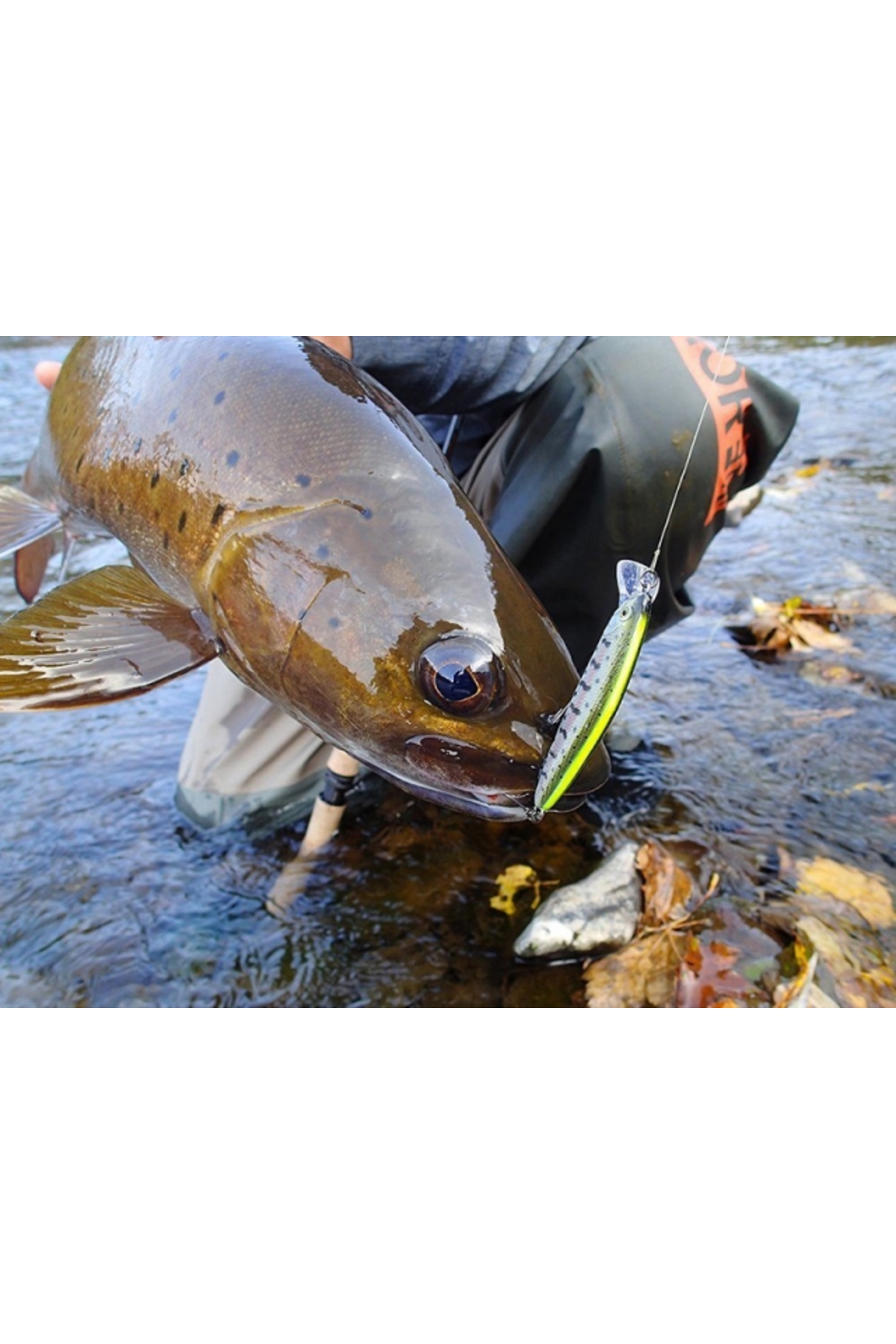 Vobler Smith D Coax 65mm 8.4g 08 S D Coax 65mm 8.4g 08 S [2]