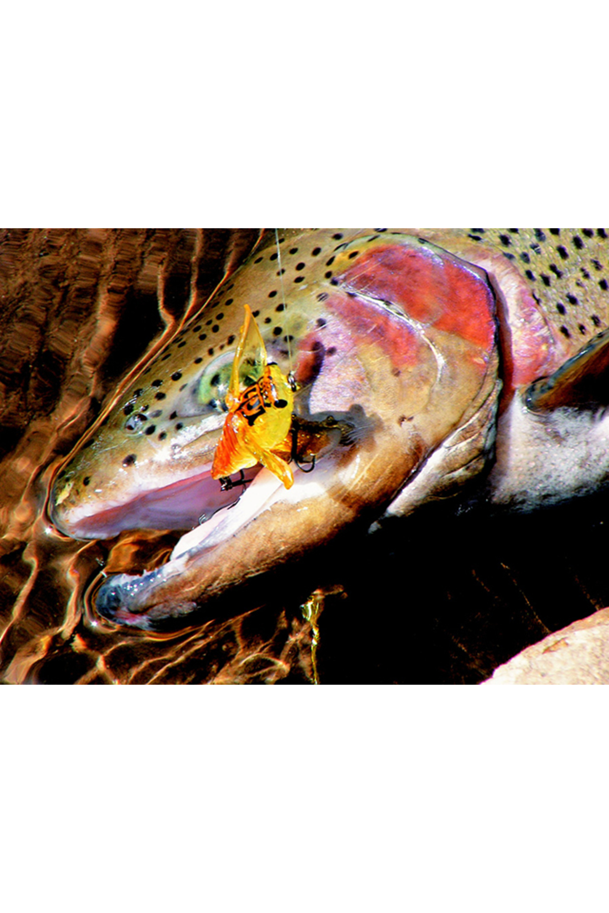 Vobler Smith Bisen 38mm 2.6g 26 Bisen 38mm 2.6g 26 [1]