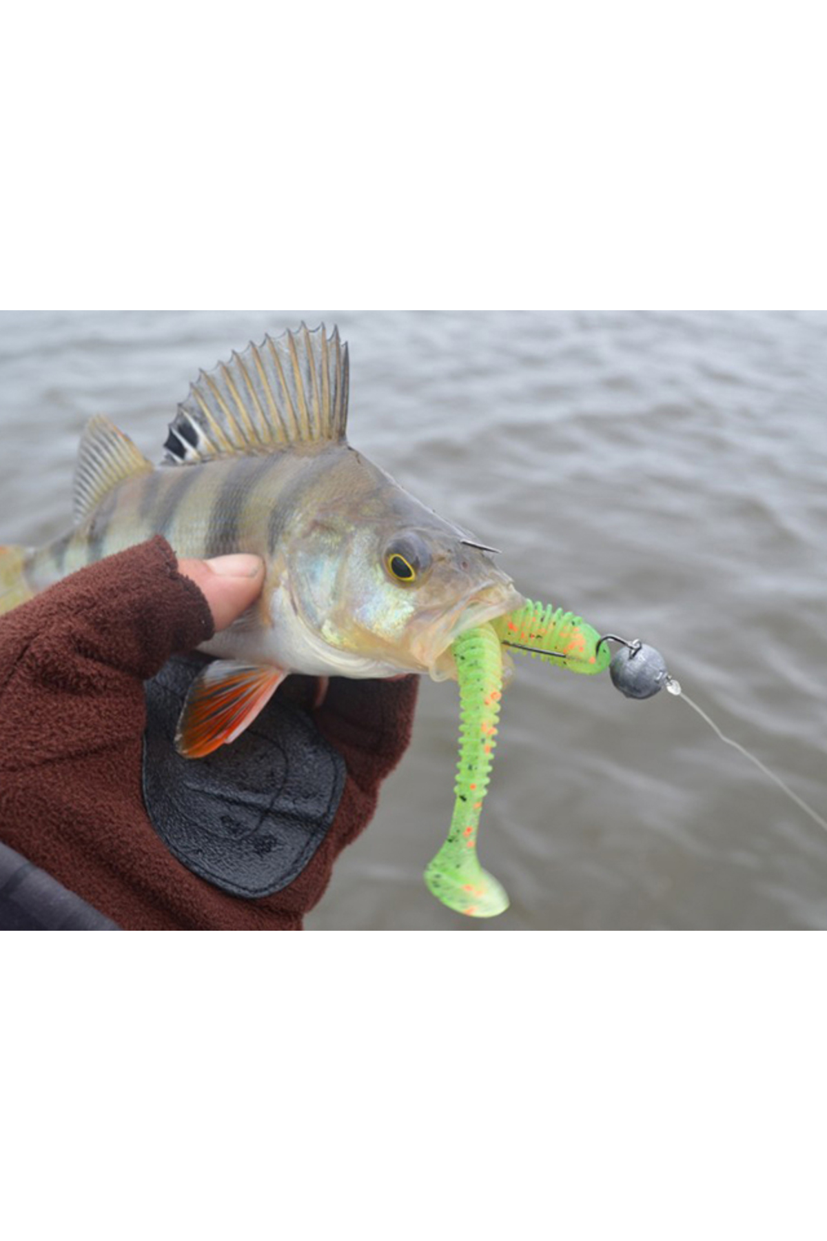 Shad Keitech Swing Impact Slim Delta Craw 407 10cm [3]