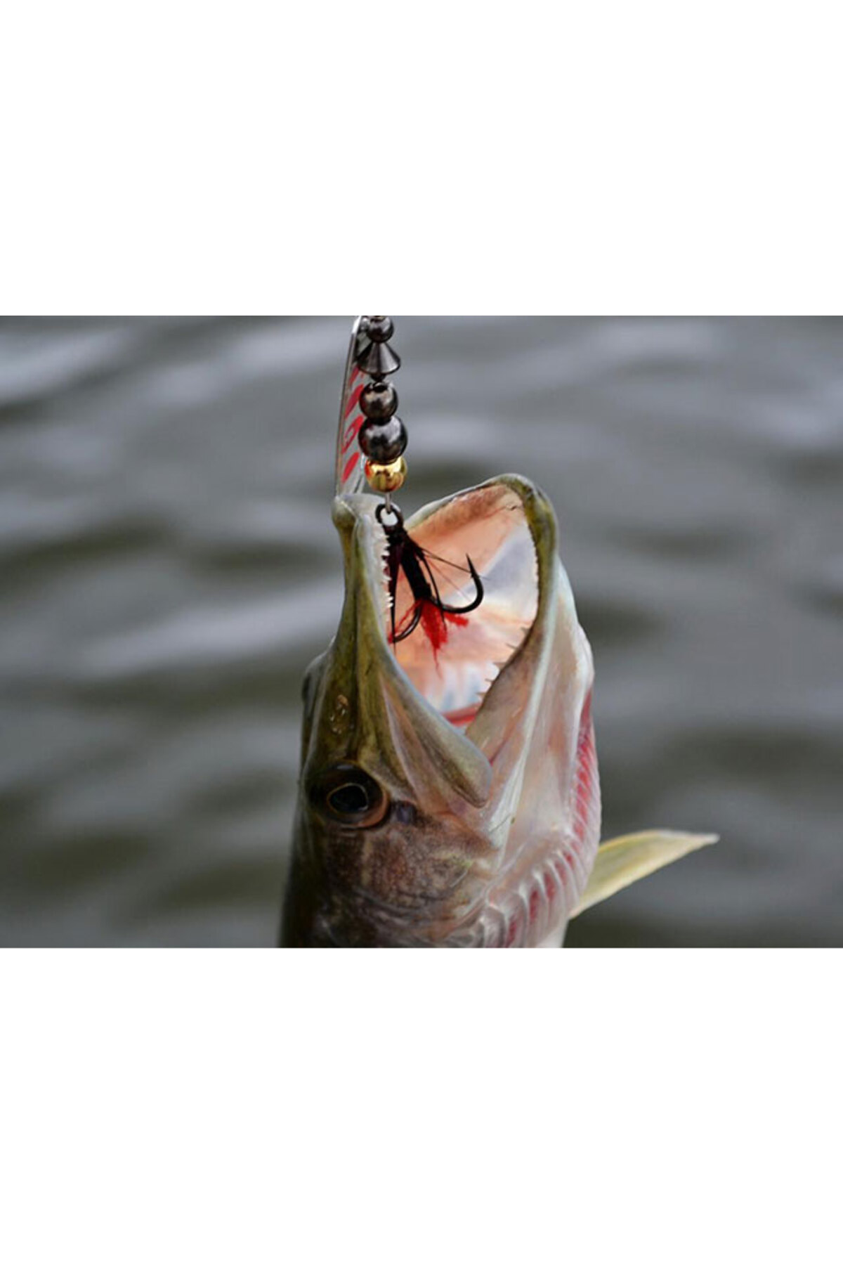 Lingurita rotativa Pontoon21 Ball Concept Spinner 2 4.5g B01-003 4.5g [3]