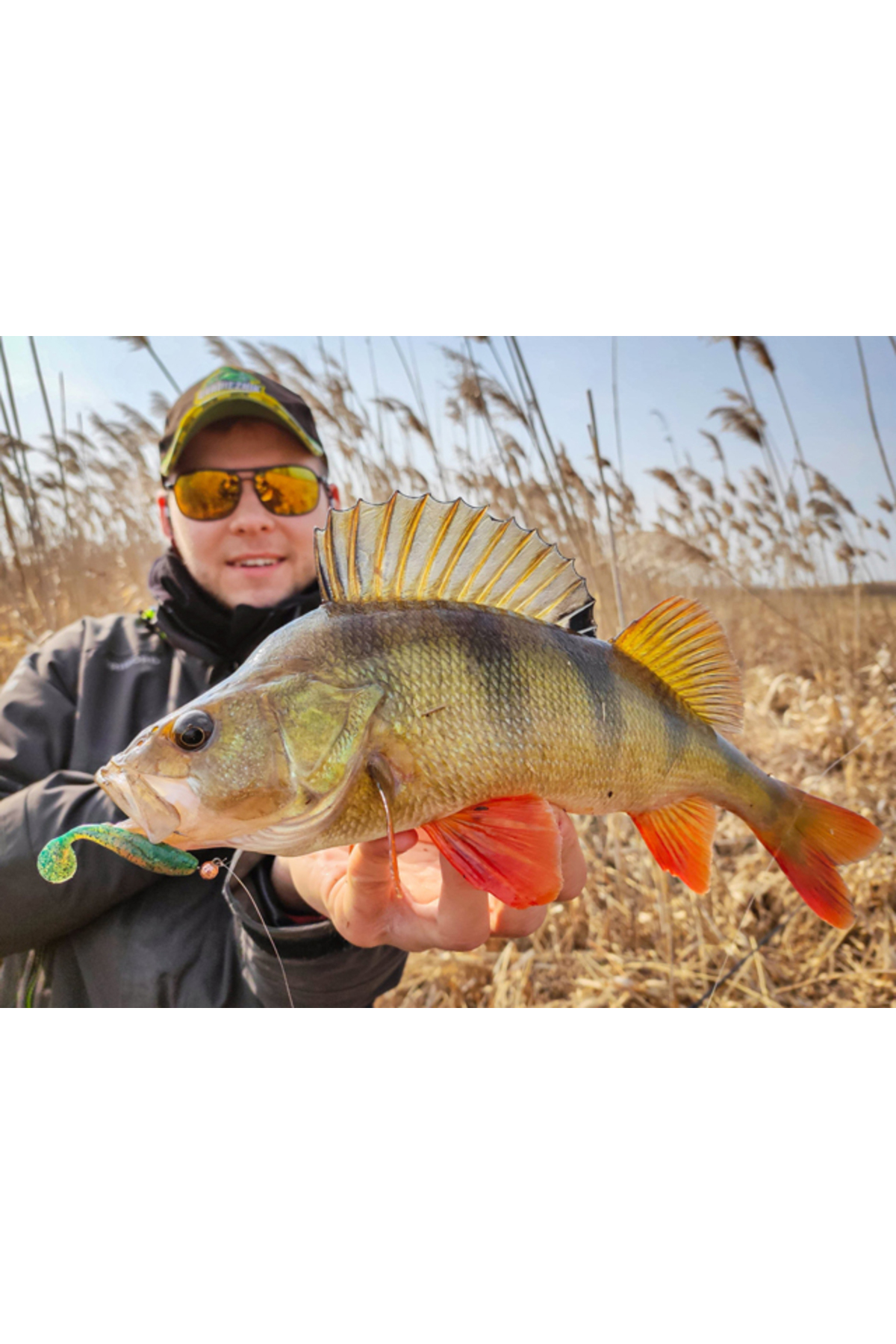 FishUp Wizzle Shad 5cm #055 Chartreuse Black 5cm #055 Chartreuse Black [3]