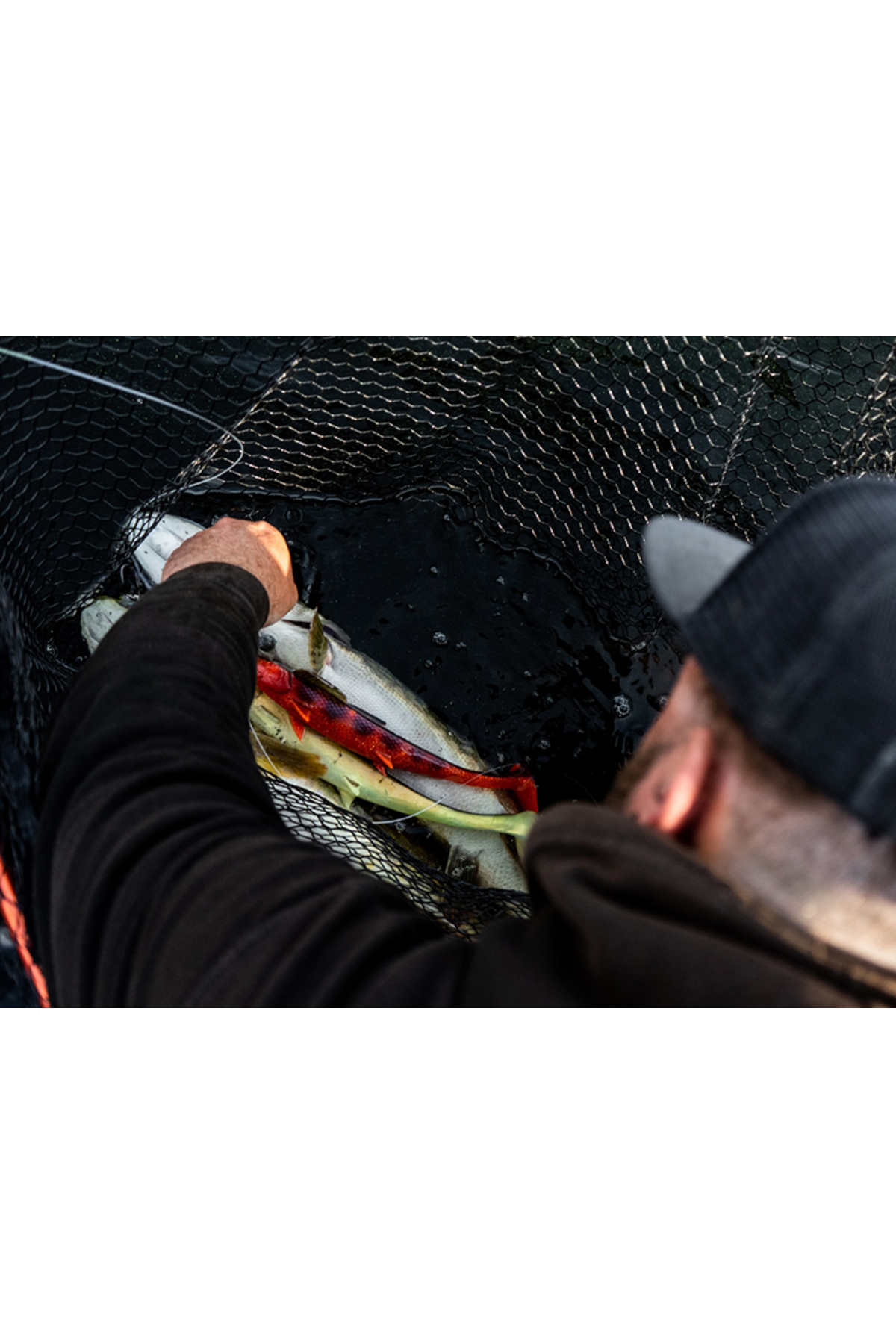 Blackbay Blackshad 28cm 145g Albino 28cm 145g Albino [3]