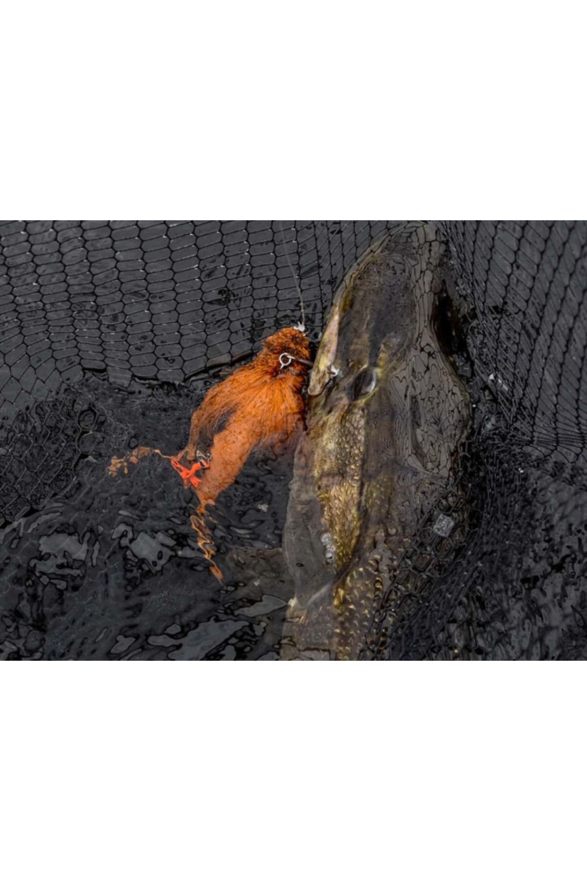 Blackbay BlackBug 28cm 85g Bloody Silver 28cm 85g Bloody Silver [3]