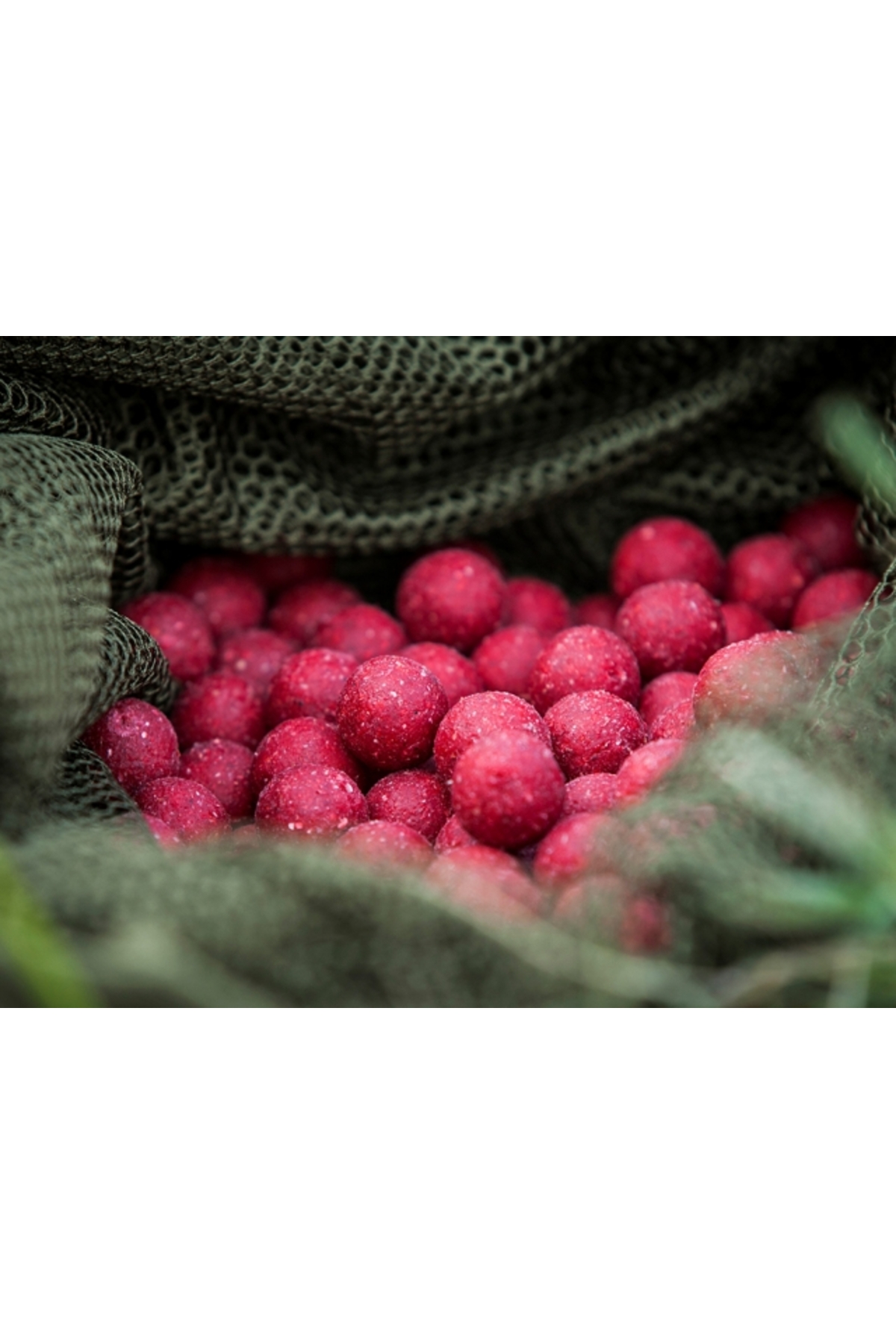 Select Baits boilies Classic Strawberry 20mm 5kg [2]