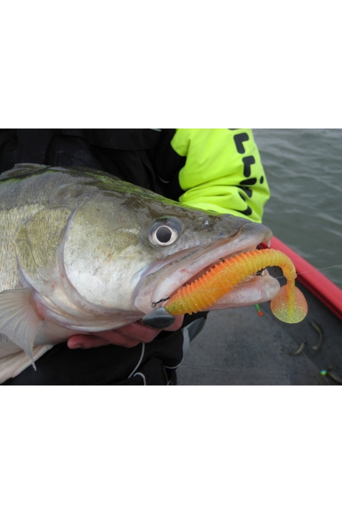 Swing Impact FAT Bluegill Flash 418 12.2cm [3]