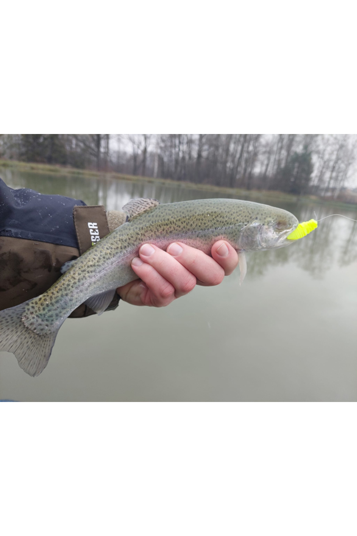 FishUp Trout Series Maya Cheese 3.5cm #112 Hot Pink 3.5cm #112 Hot Pink [2]