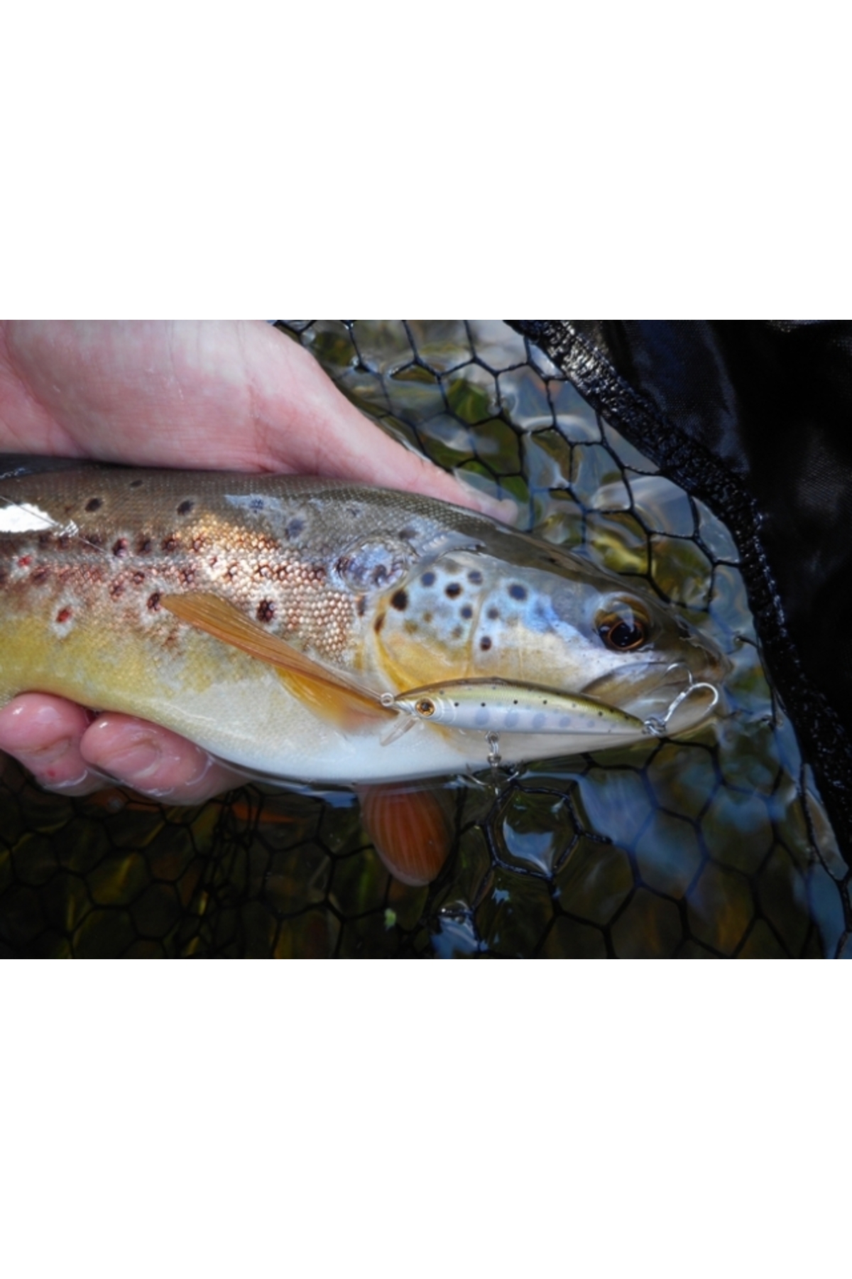 Vobler Smith Luna TR 47mm 2.3g 04 S Luna TR 47mm 2.3g 04 [3]