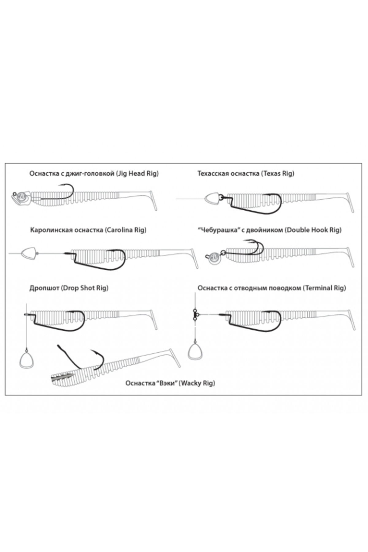 Shad Pontoon21 Awaruna EVO 4227 15.2cm [3]