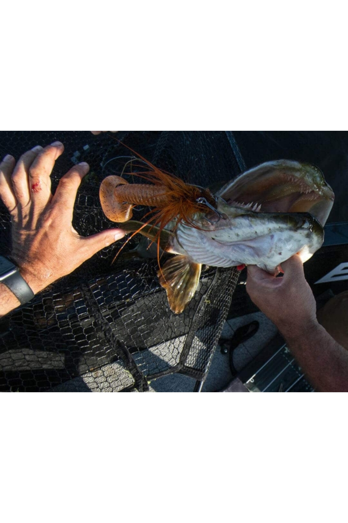 Coada de rezerva Blackbay Blacktail Curly L 19cm 55g Golden Nugget 19cm 55g Golden Nugget [3]