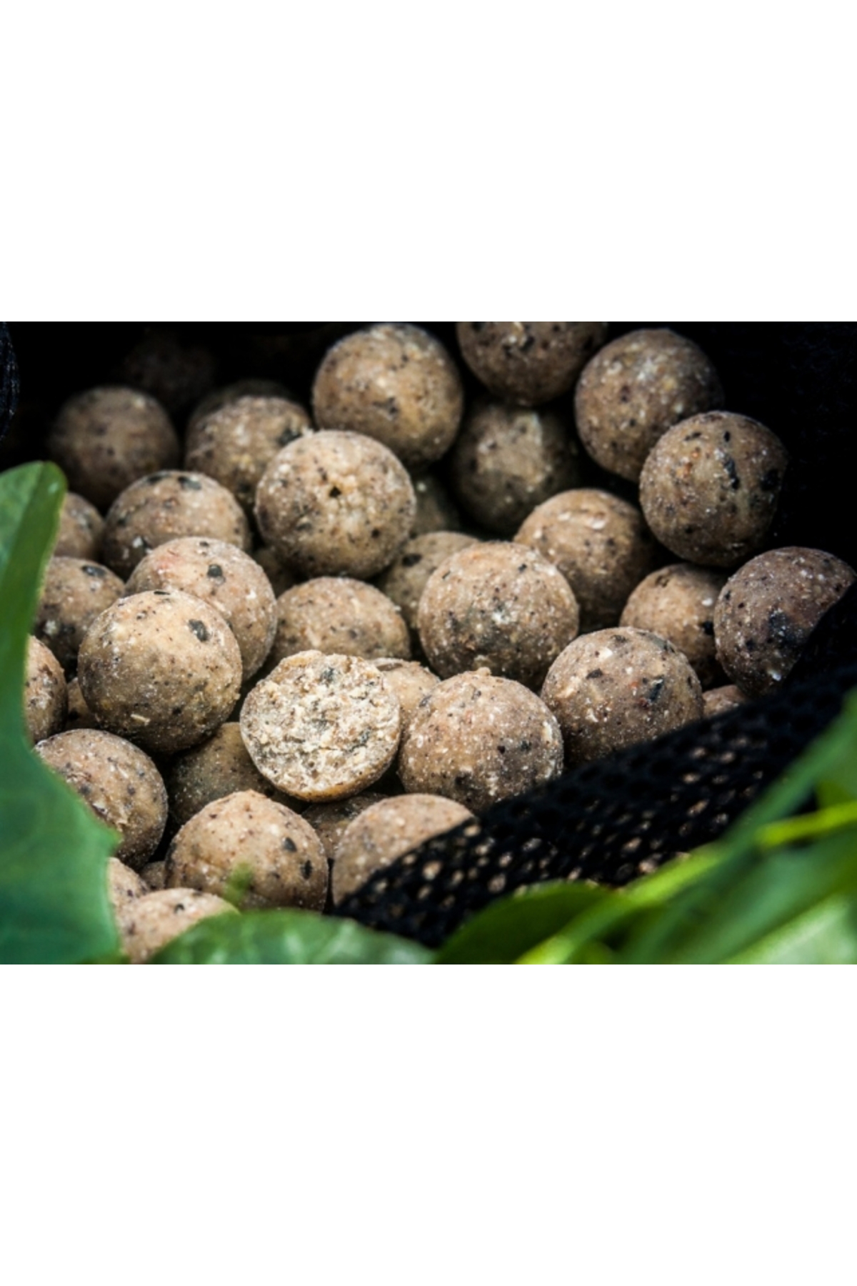 Select Baits boilies Nutty Scopex 15mm - 5kg [1]