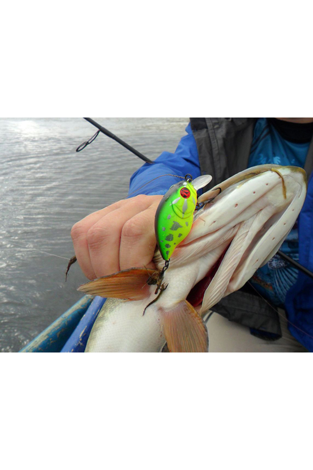 Vobler Pontoon21 TabaTao 50F MDR 5cm 12g A15 F 5cm 12g A15 F [3]