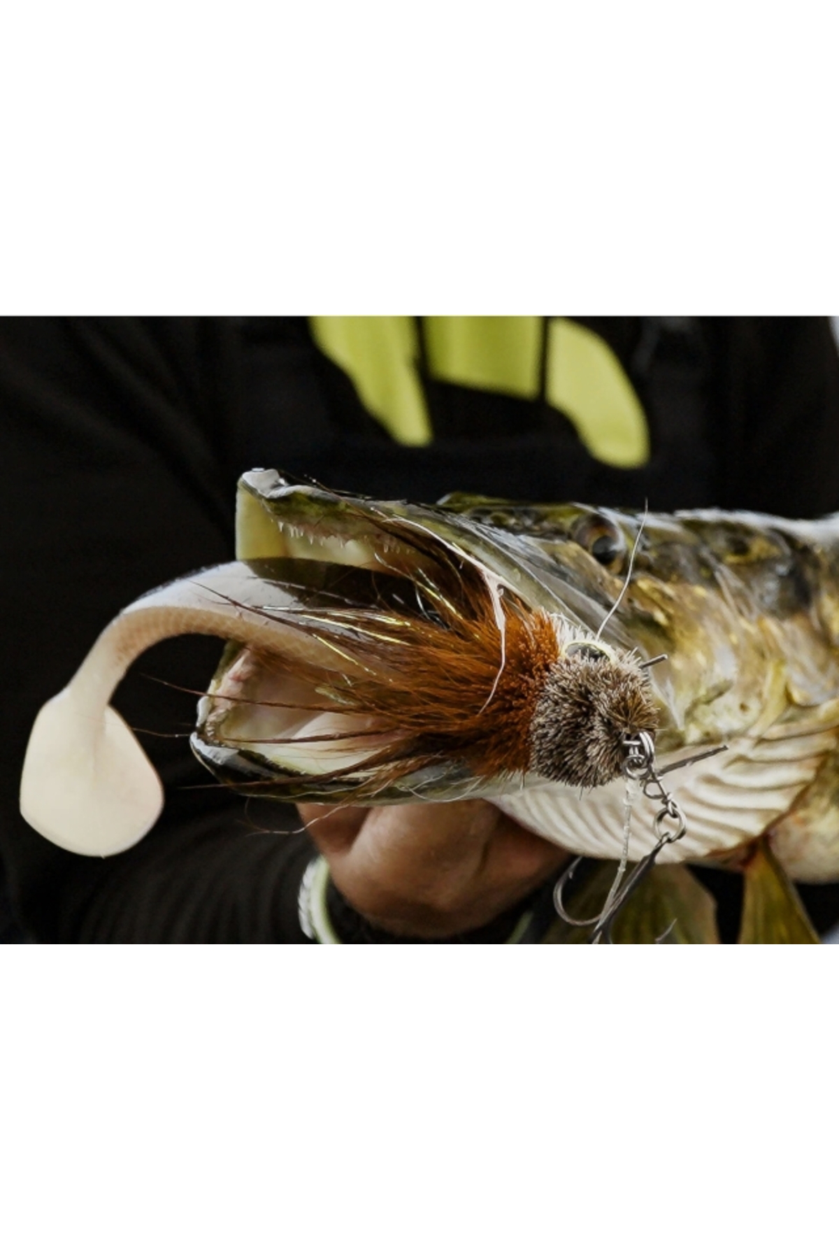 Coada de rezerva Blackbay Blacktail Shad Custom 19cm 75g Albino 19cm 75g Albino [2]