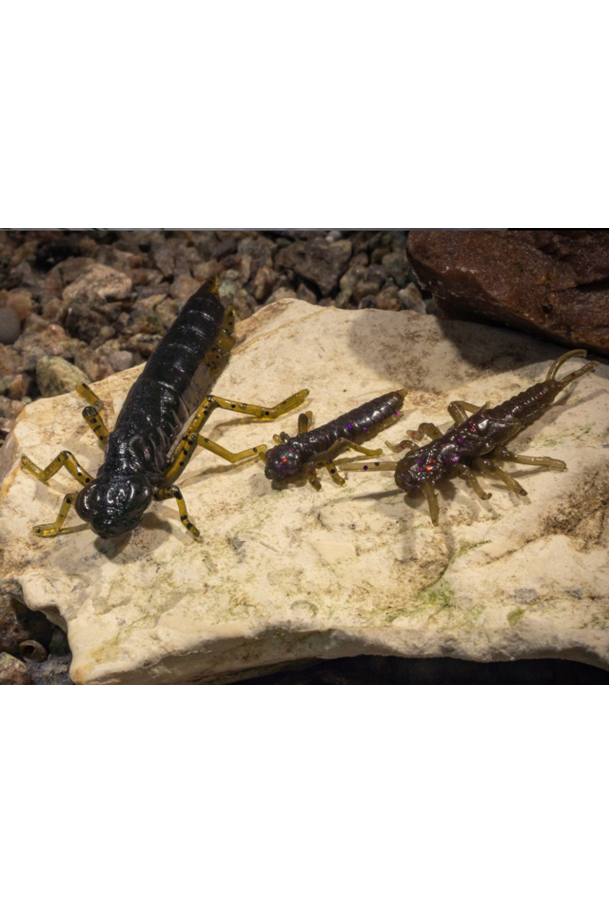 FishUp Dragonfly 3cm #012 Chaos 3cm #012 Chaos [1]