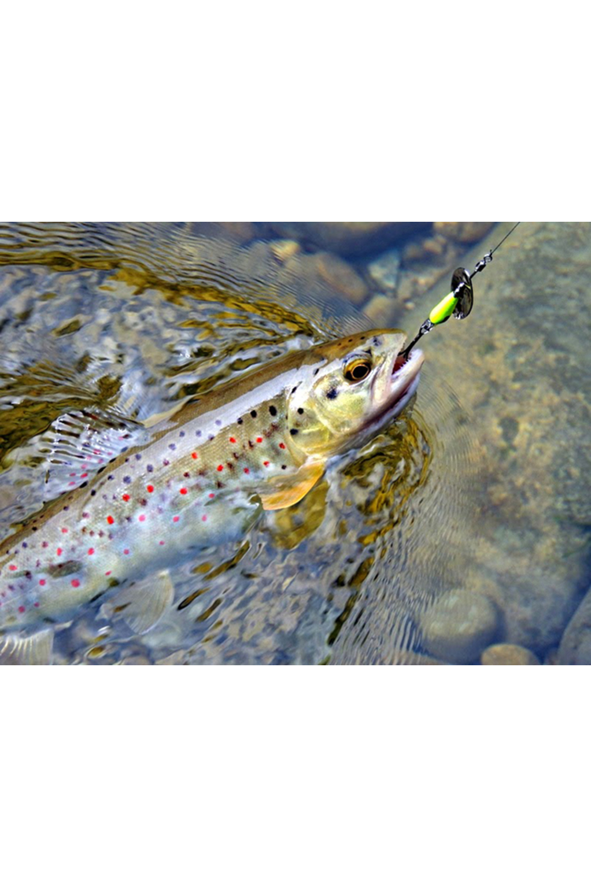 Lingurita rotativa Smith AR-S Spinner Trout 4.5g 04 RSBK AR-S Spinner Trout 4.5g 04 RSBK [2]