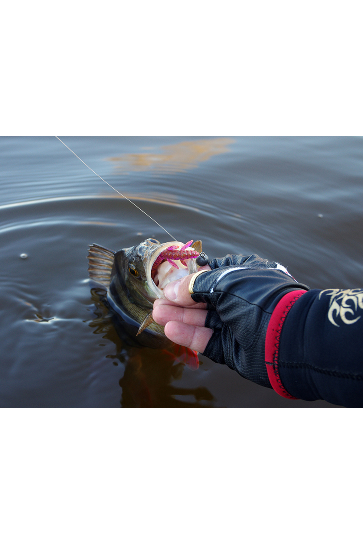 FishUp Flit 4.1cm #014 Violet Blue 4.1cm #014 Violet Blue [1]