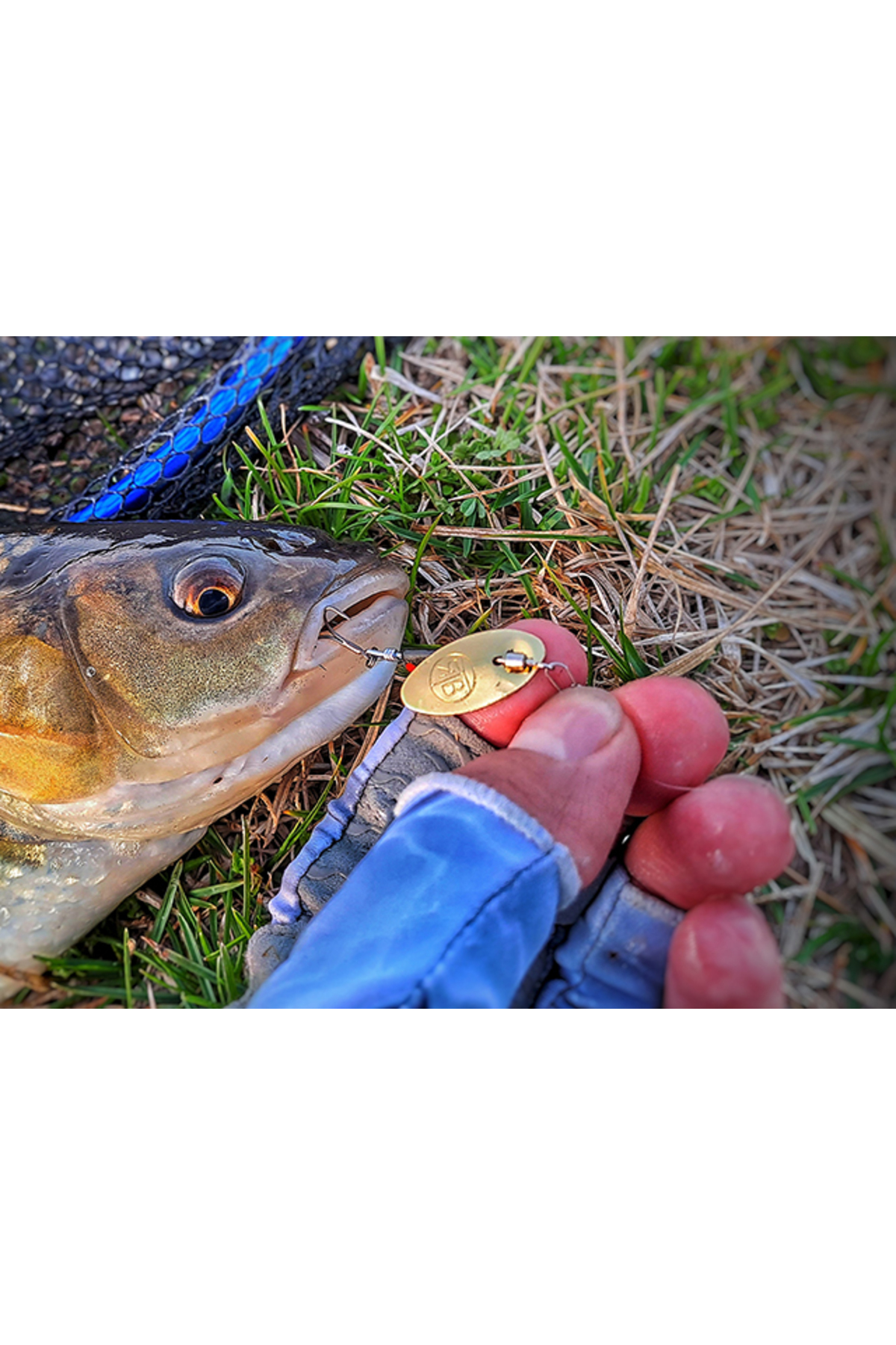 Lingurita rotativa RTB InLine Spinner #2 2.1g #03 Silver Blade #2 2.1g #03 Silver Blade [3]