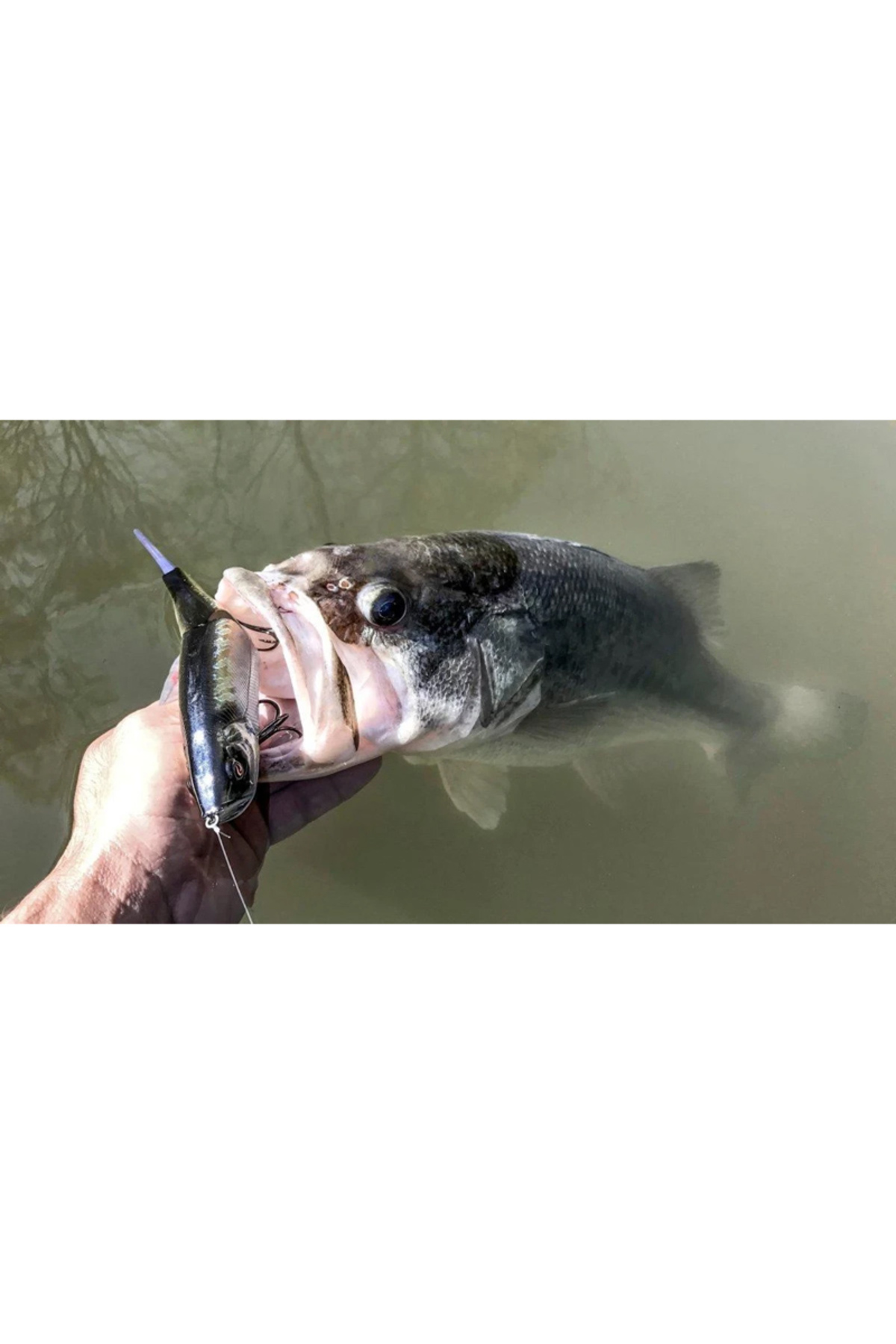 Vobler River2Sea S-Waver 168S 16.8cm 46g Powder 21 16.8cm 46g Powder 21 [3]