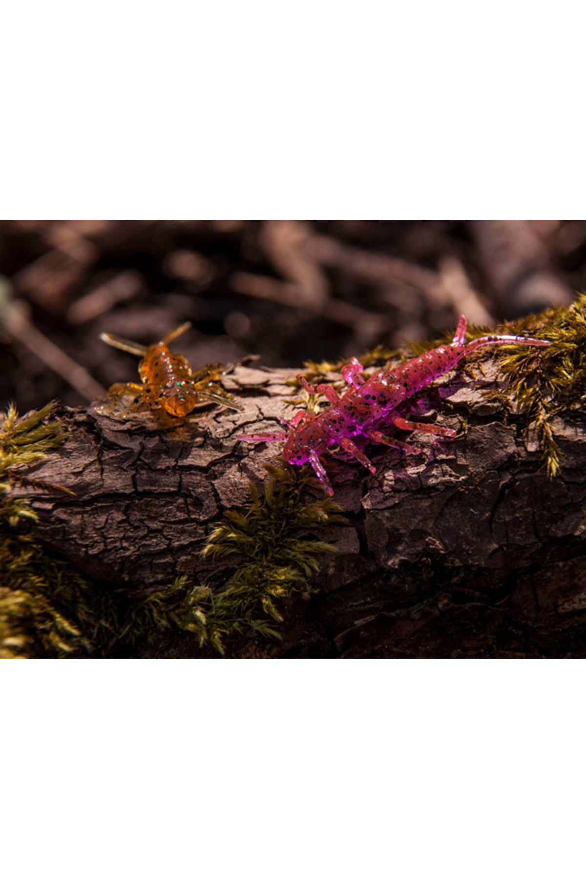 FishUp Stonefly 2.1cm #016 Lox Green & Black 2.1cm #016 Lox Green & Black [1]