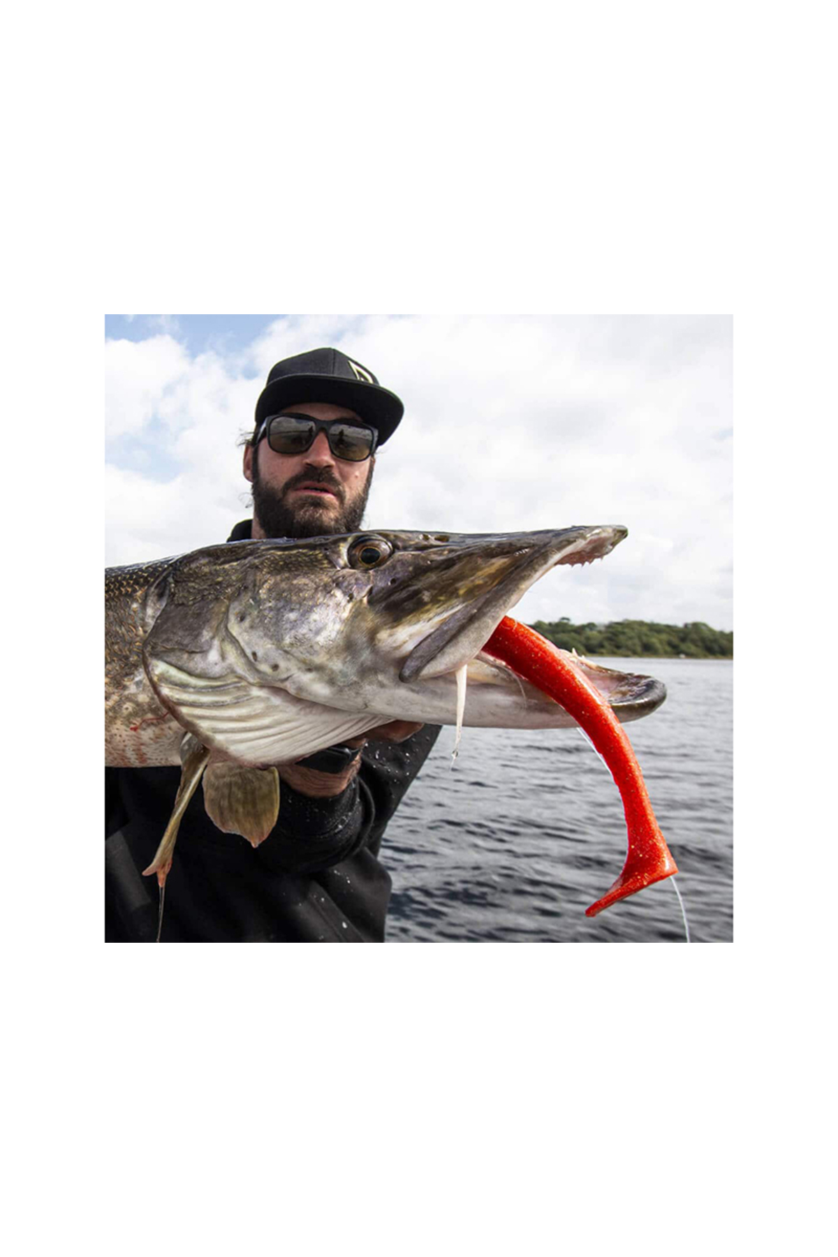 Coada de rezerva Blackbay Blacktail Shad Custom 16.5cm 50g Tench 16.5cm 50g Tench [2]