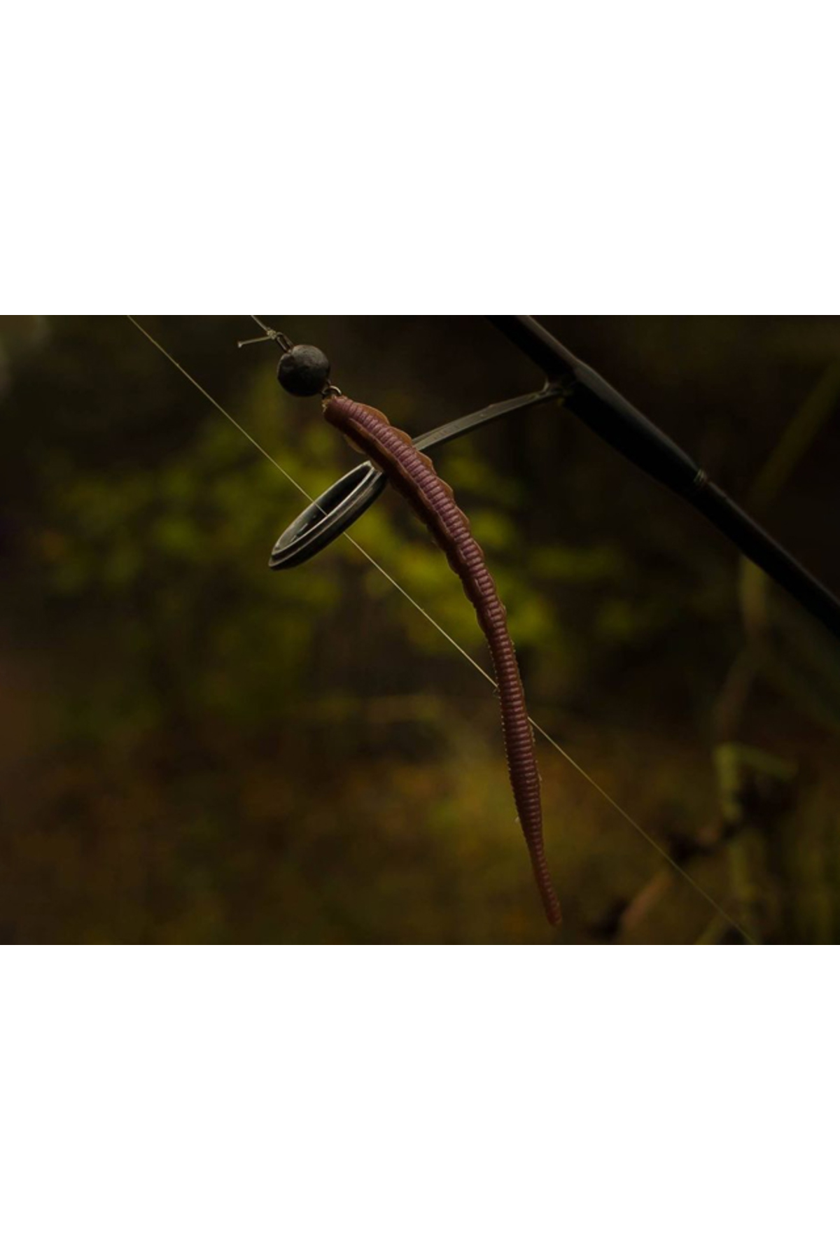 FishUp Trout Series Scaly Cheese 7cm #106 Earthworm 7cm #106 Earthworm [1]