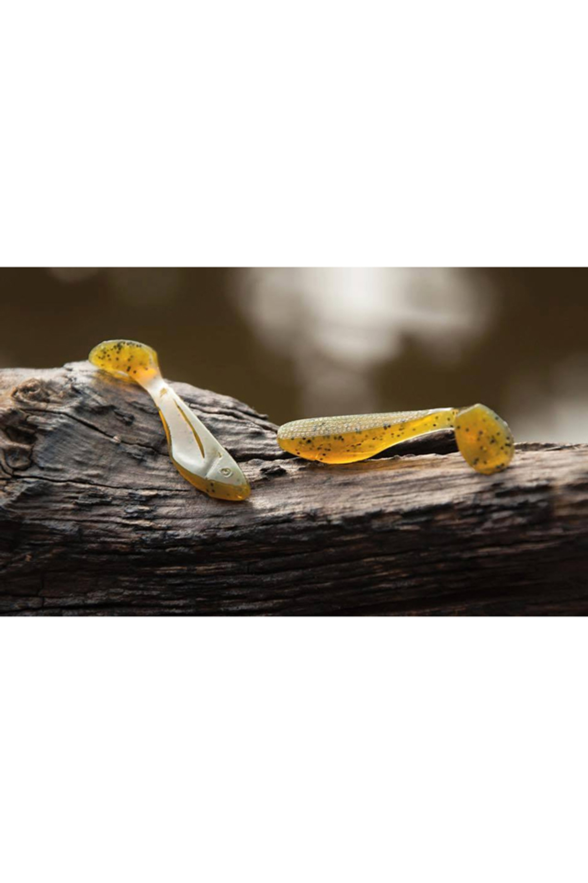 Shad FishUp Wizzy 3.8cm #074 Green Pumpkin Seed 3.8cm #074 Green Pumpkin Seed [1]