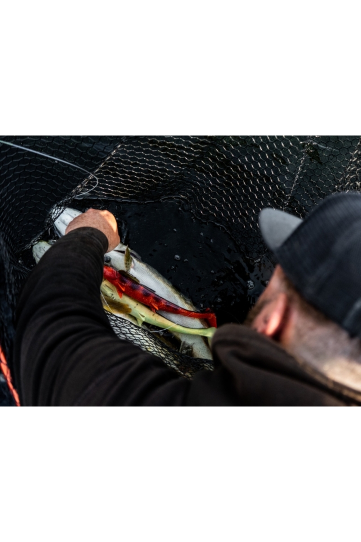 Blackbay Blackshad 24cm 90g Albino 24cm 90g Albino [2]