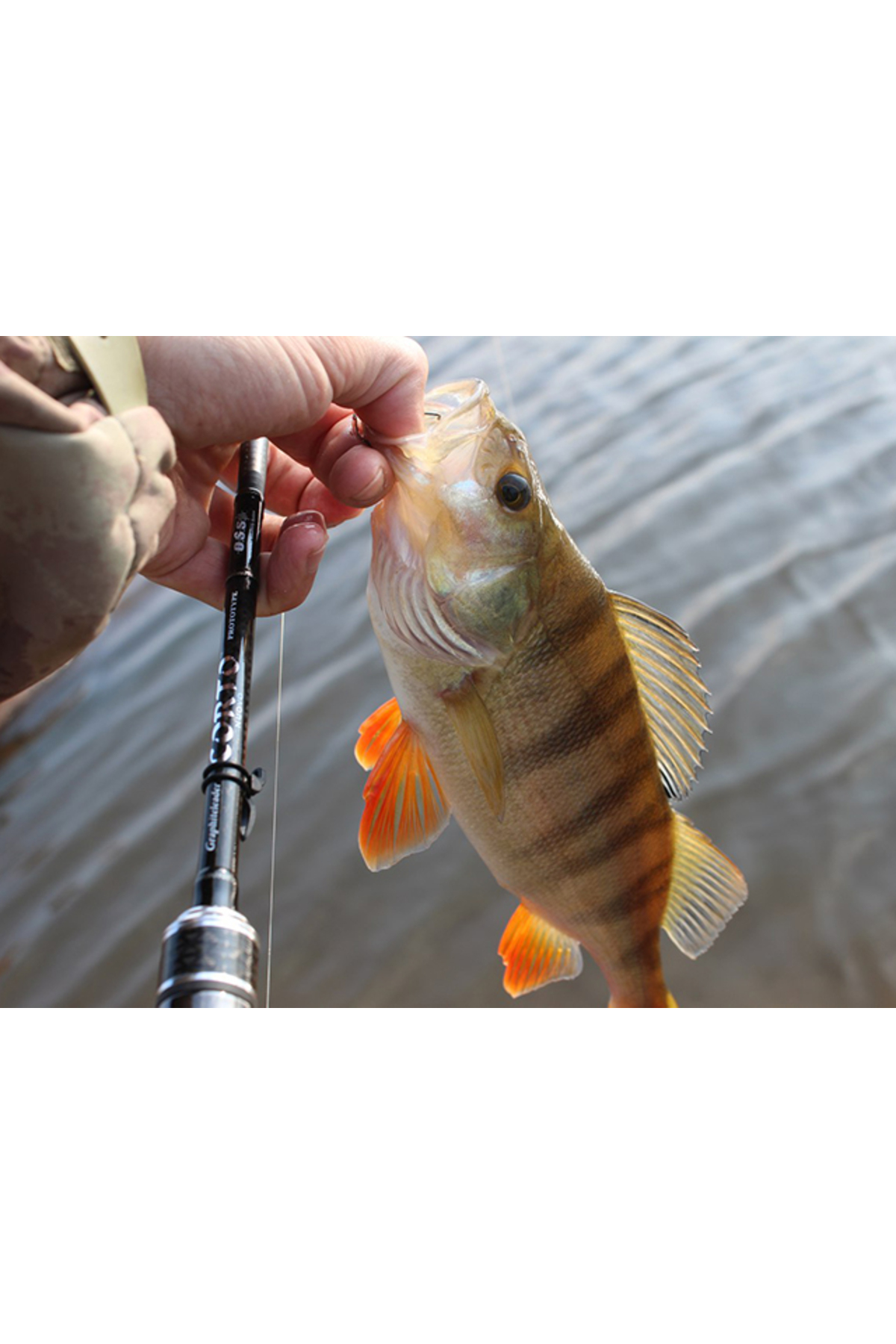 Keitech Mad Wag Mini Crystal Shrimp 472 6.3cm [3]