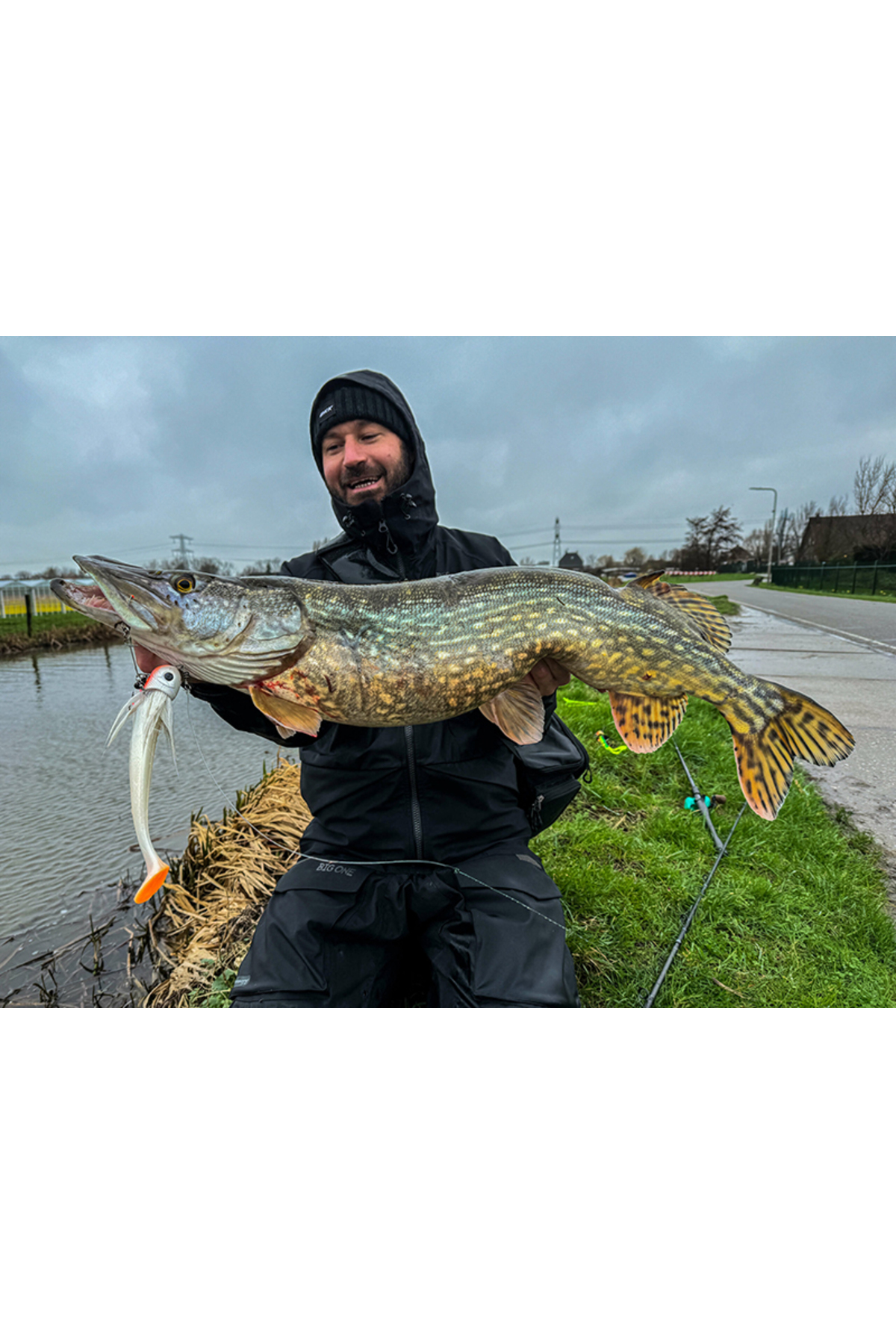 Blackbay BlackBug Beetle 21cm 85g White Fury 21cm 85g White Fury [3]