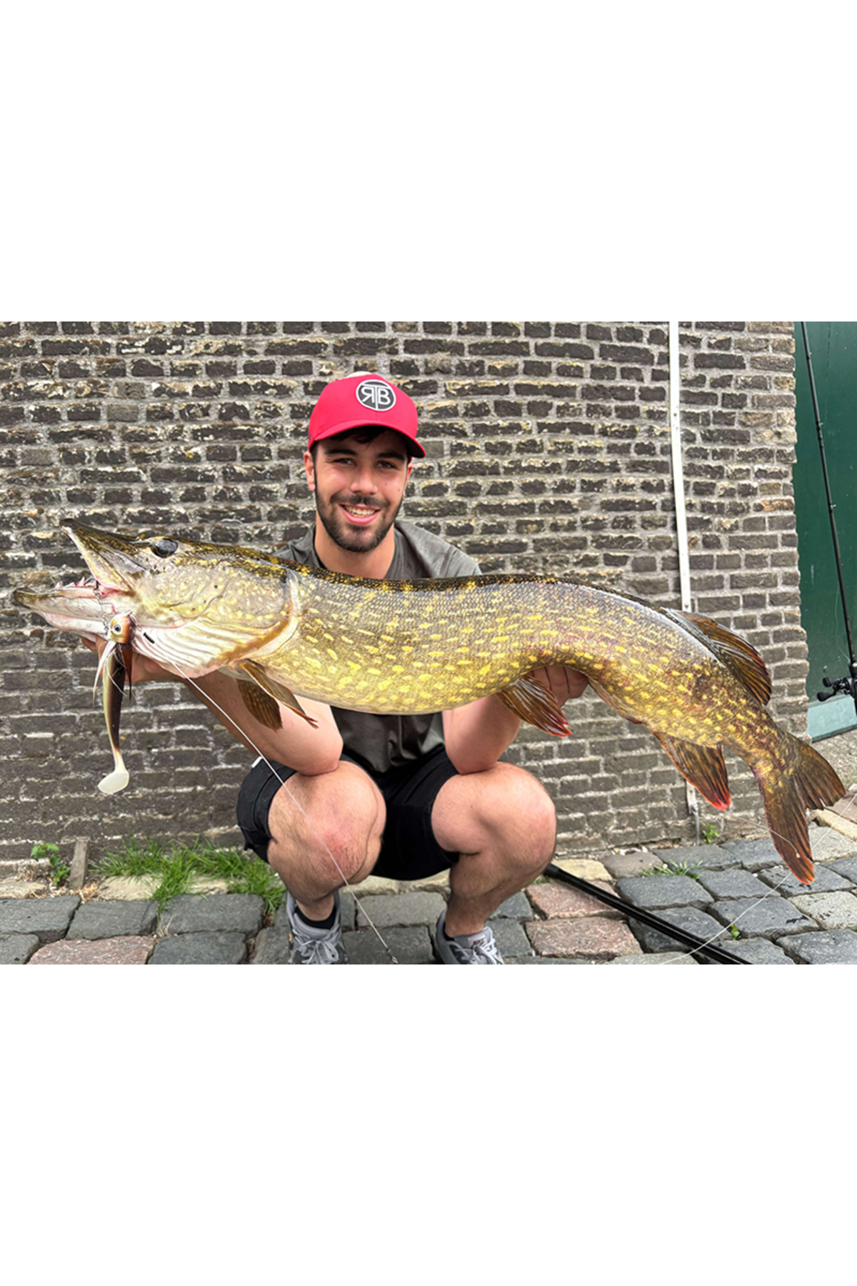 Coada de rezerva Blackbay BlackTail Rooster Junior 14cm 20g Galaxy Roach 14cm 20g Galaxy Roach [2]