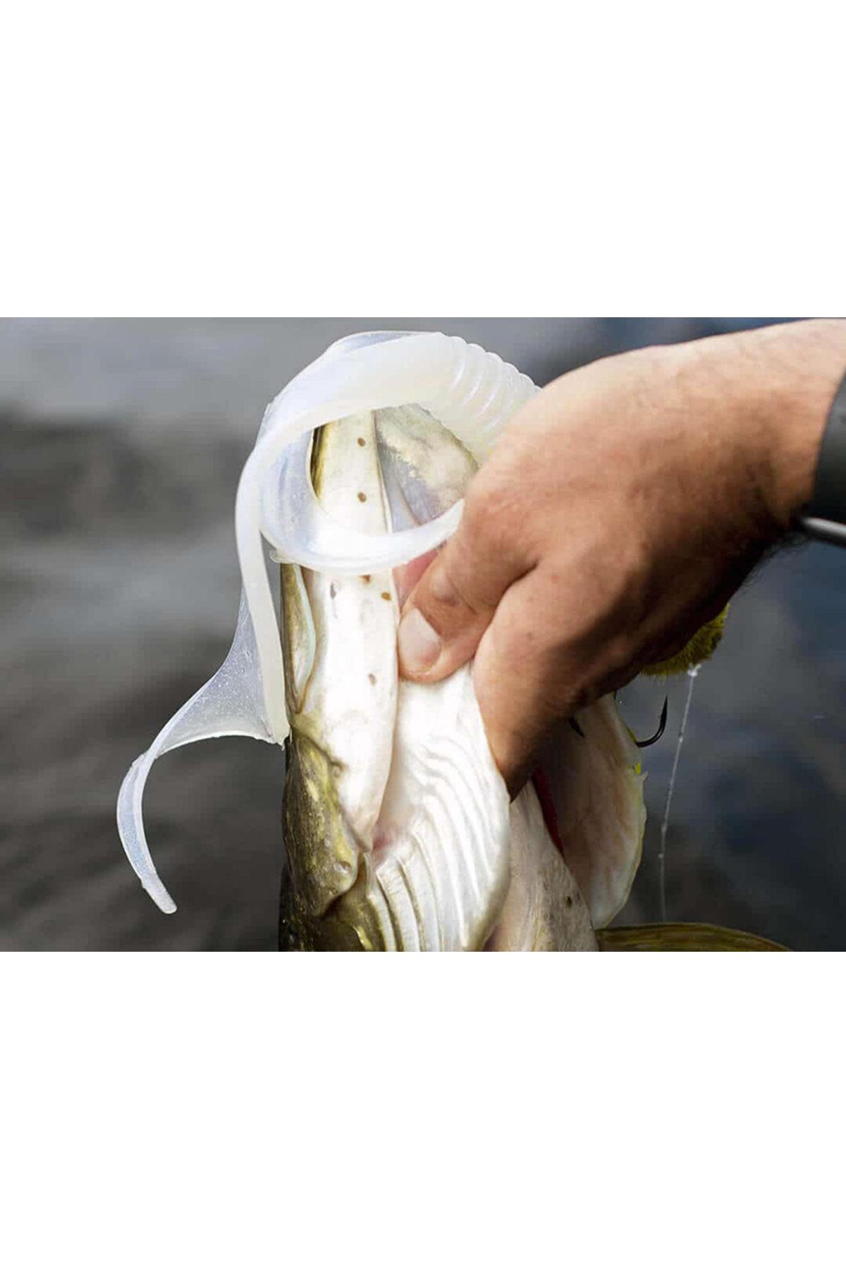 Coada de rezerva Blackbay Blacktail Rooster 22cm 70g Blue Ghost 22cm 70g Blue Ghost [3]