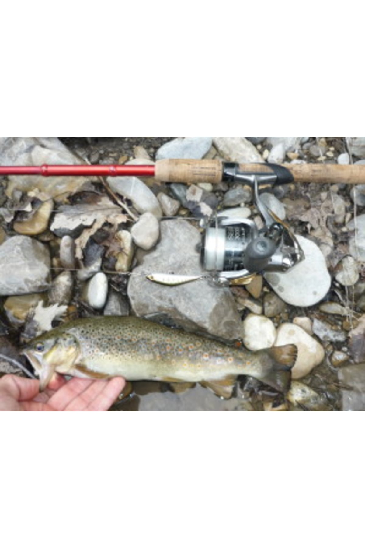 Vobler Smith D Contact 50mm 4.5g 23 S D Contact 50mm 4.5g 23 [3]