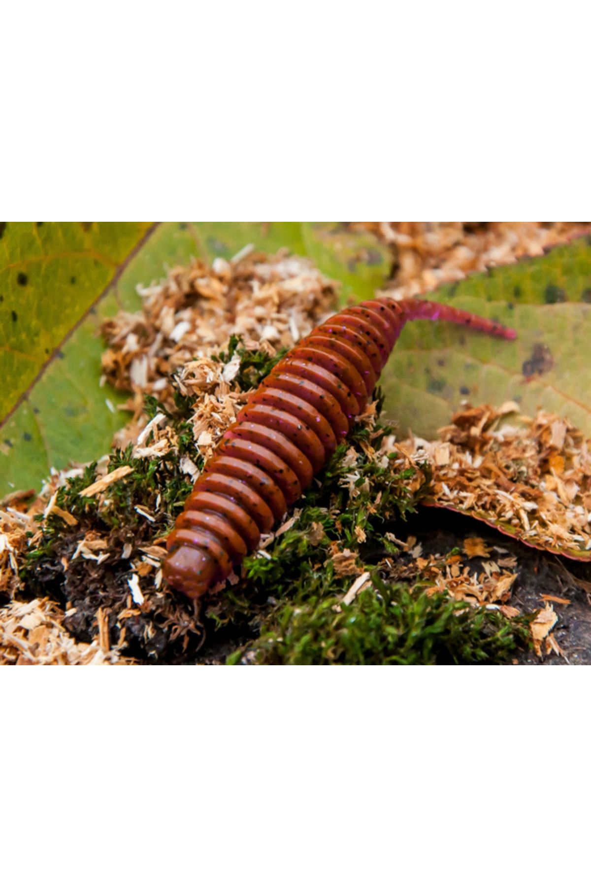 FishUp Tanta Crawfish 5cm #244 5cm #244 [1]