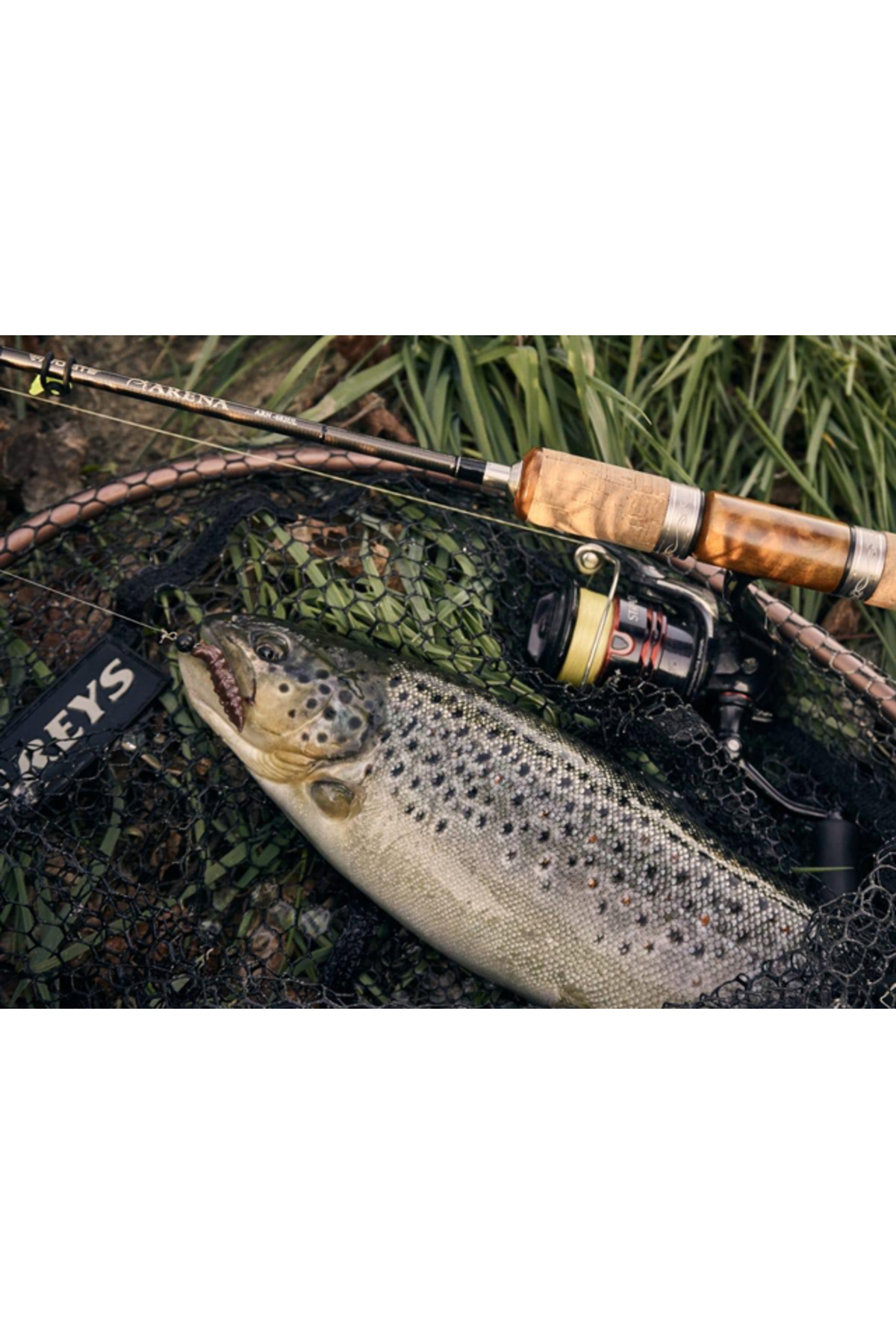 FishUp Trout Series Pupa Cheese 3.2cm #101 Black 3.2cm #101 Black [2]