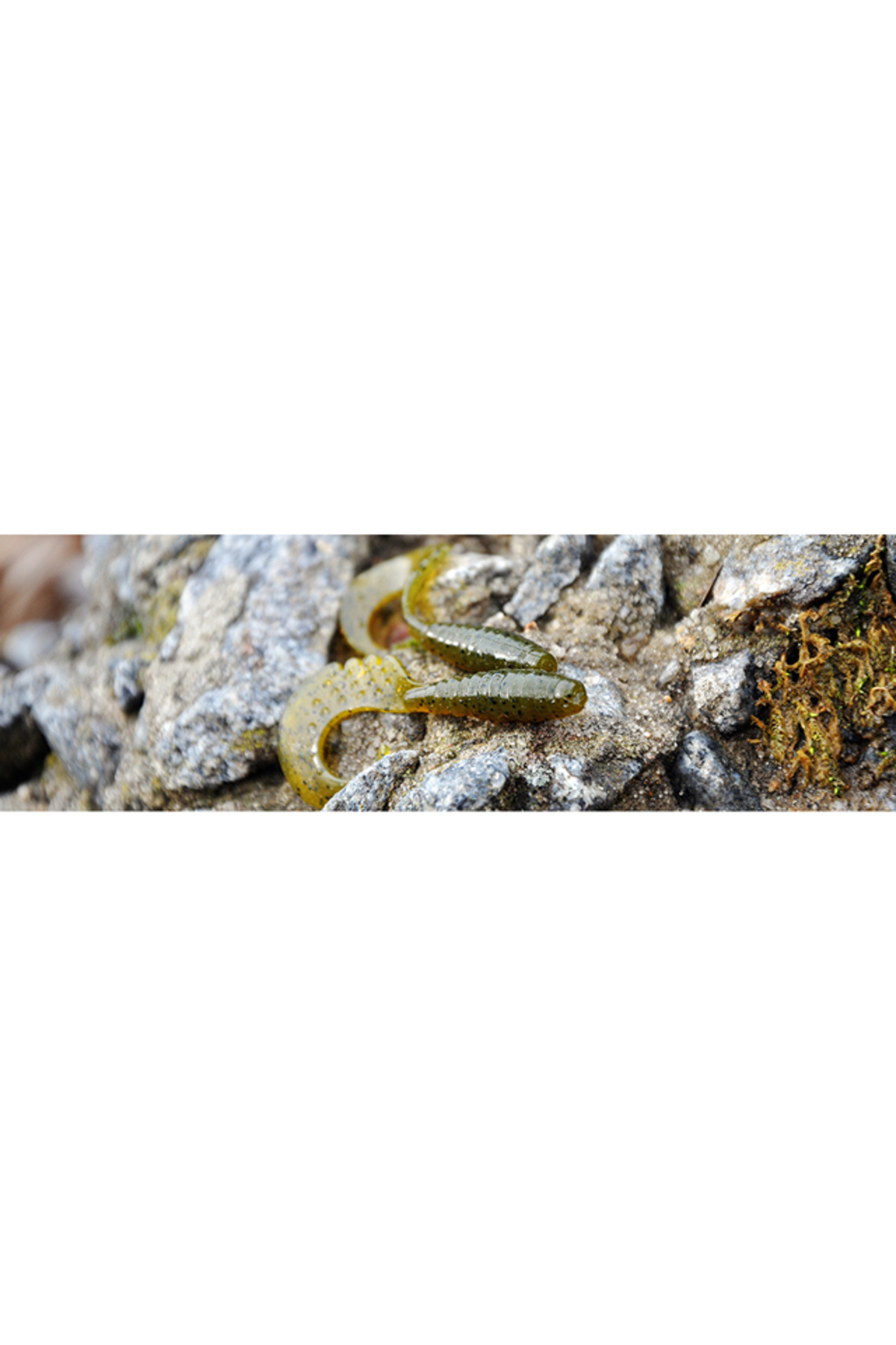 FishUp Fancy Grub 6.3cm #055 Chartreuse Black 6.3cm Chartreuse Black [1]