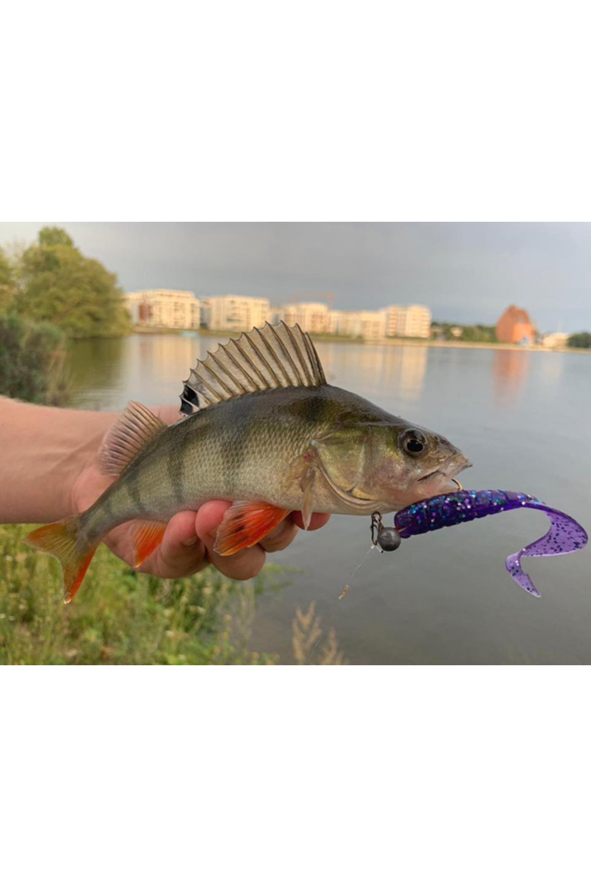 FishUp Mighty Grub 10cm #055 Chartreuse Black 10cm #055 Chartreuse Black [3]