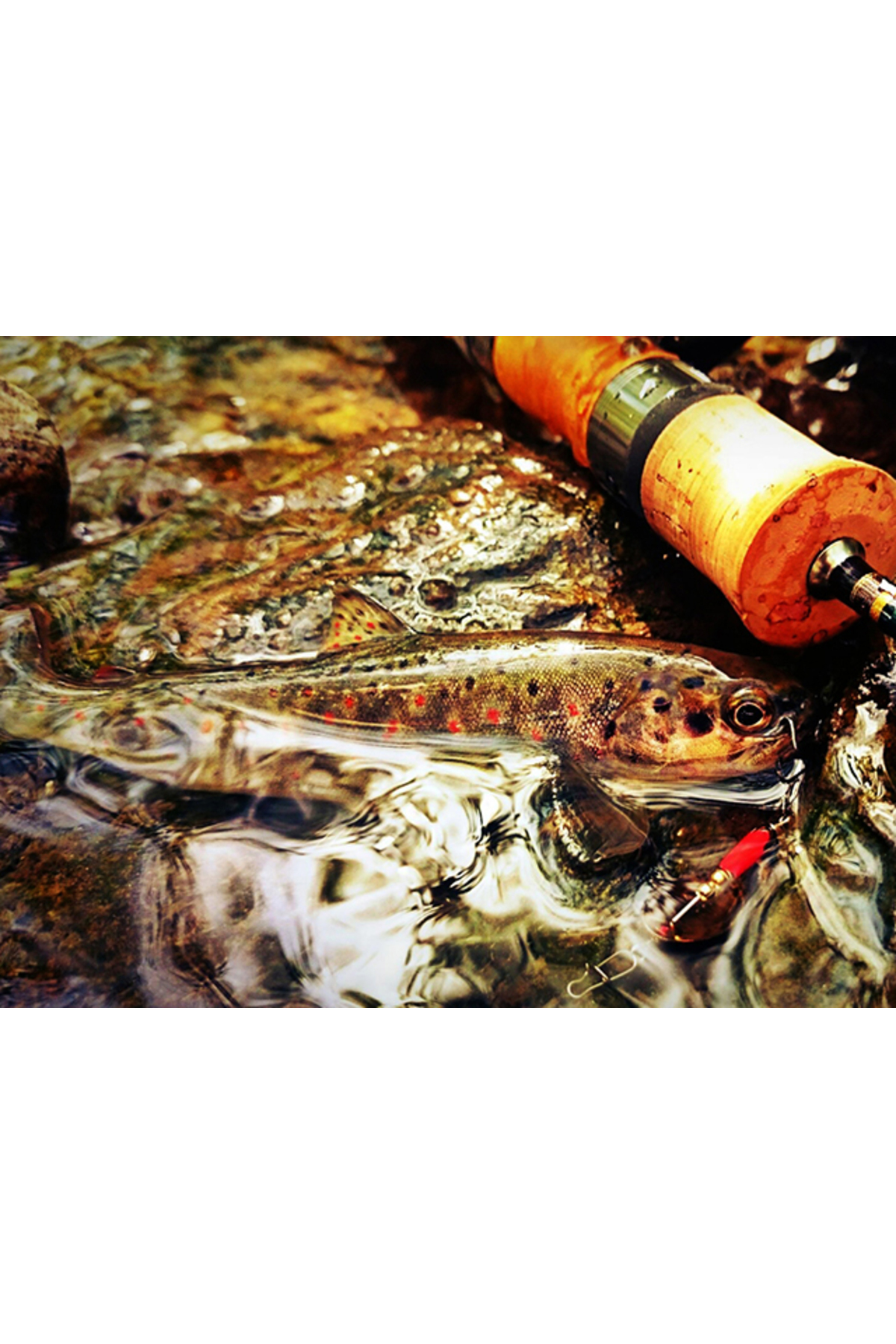 Lingurita rotativa Smith AR-S Spinner Trout 3.5g 19 AR-S Spinner Trout 3.5g 19 [1]