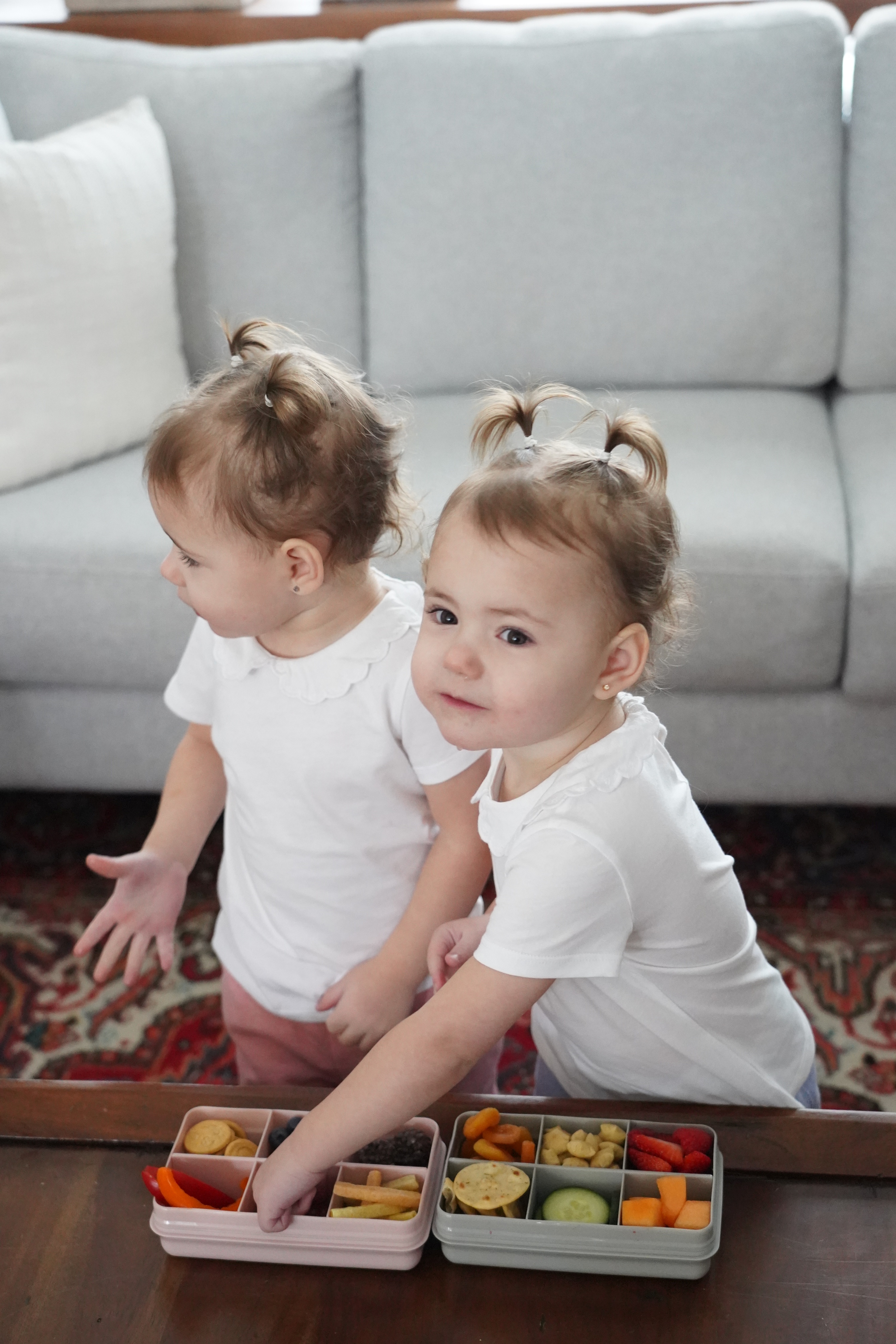 Cutie snack 6 compartimente, melii, grey [2]