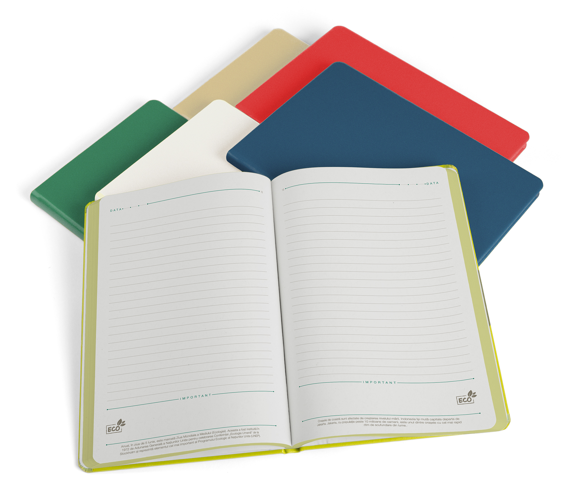 Agenda a5 nedatata alba eco ego [4]