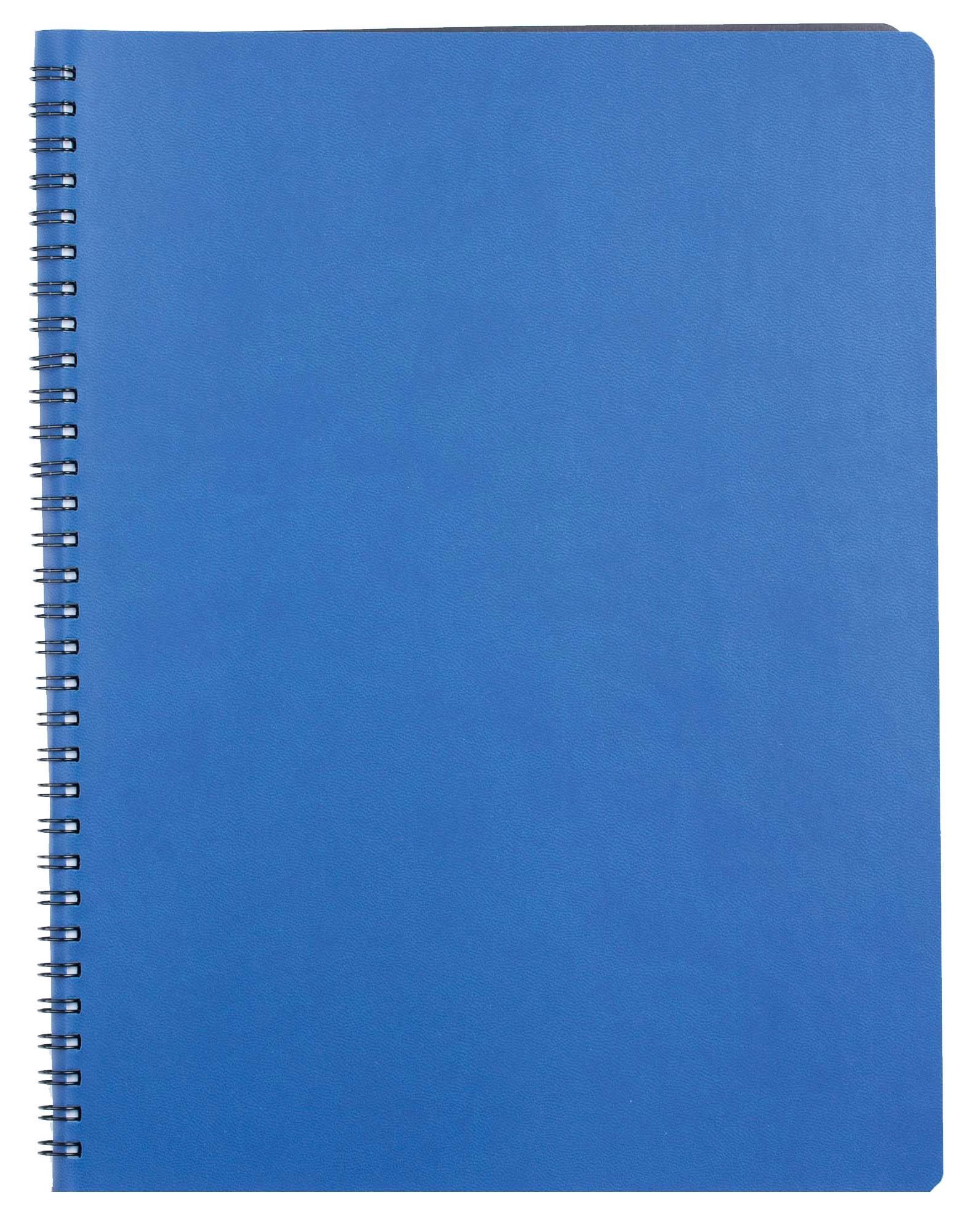 Agende - Agenda cu spira a4 nedatata albastra siena ego