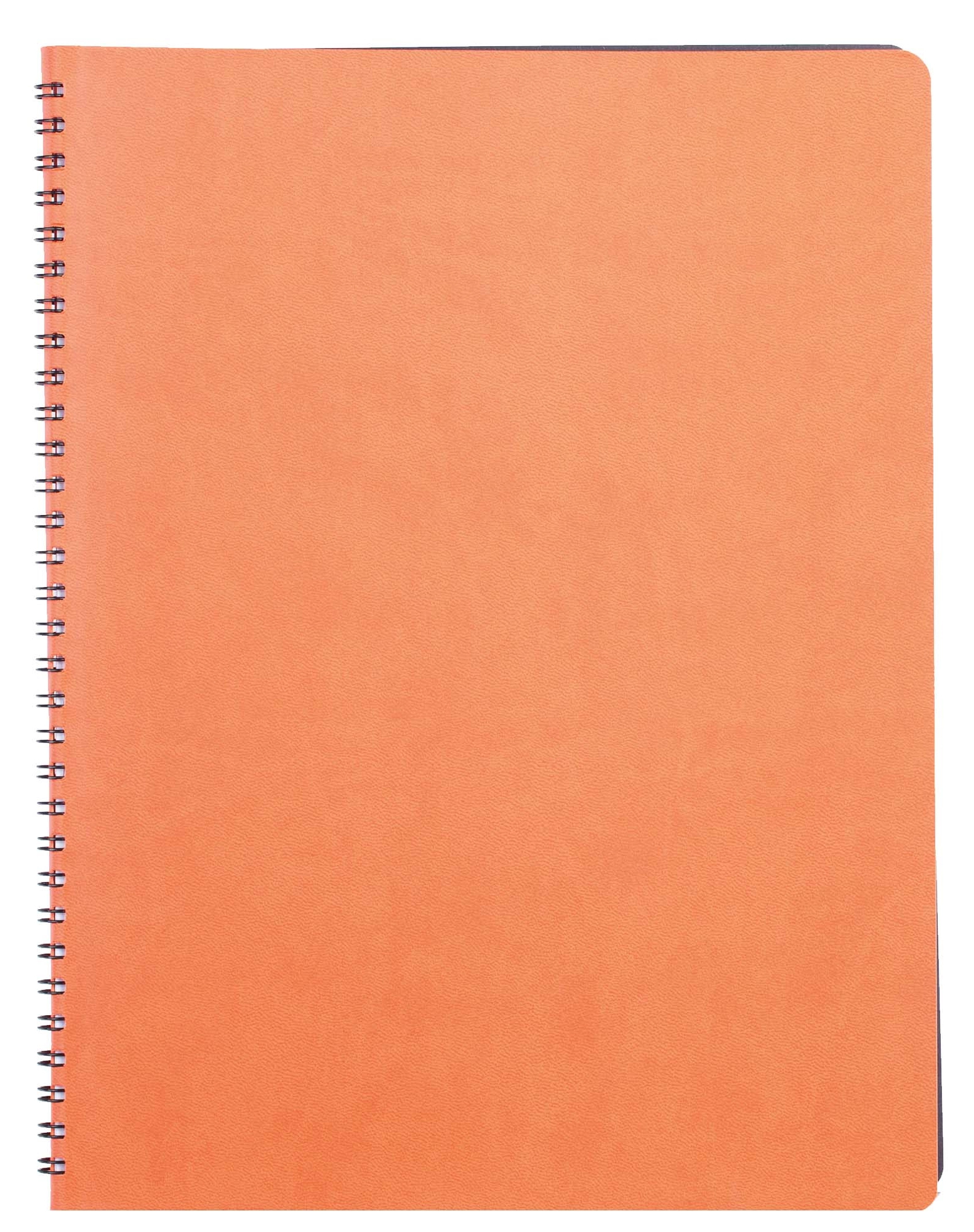 Agende - Agenda cu spira a4 nedatata portocalie siena ego