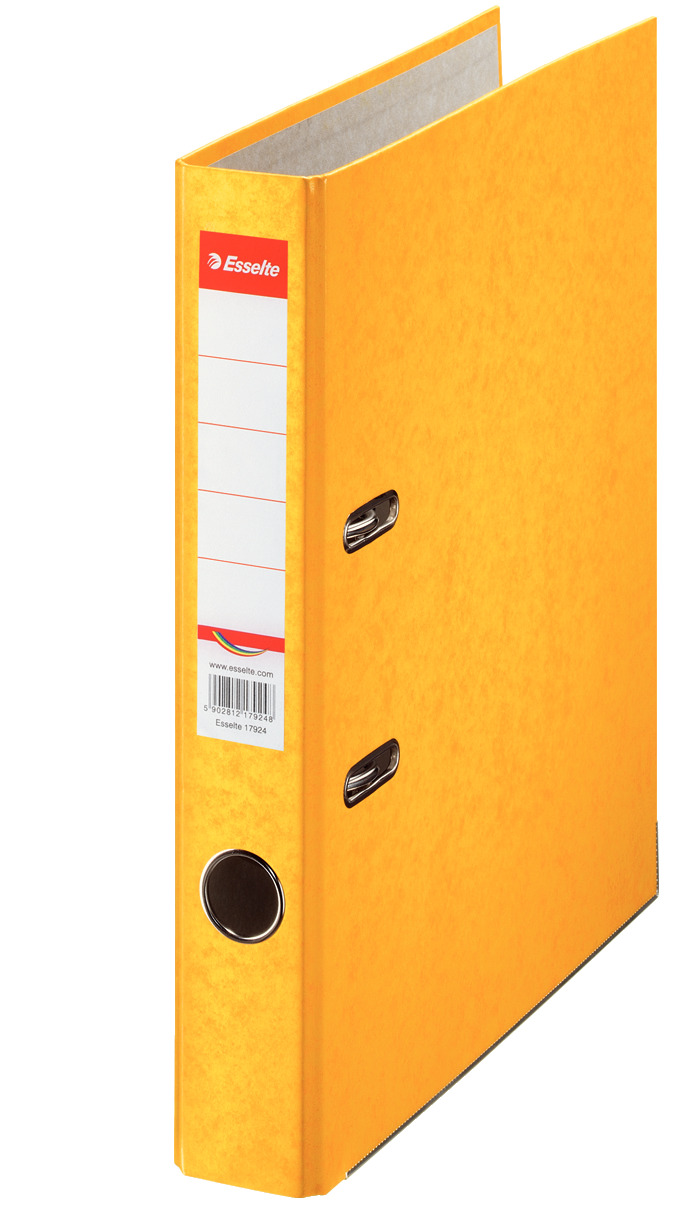 Bibliorafturi - Biblioraft marmorat 5 cm galben rainbow esselte