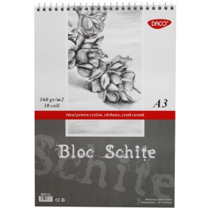 Art & Craft si Artizanat - Bloc a3 schite 160g 30 file daco bd316