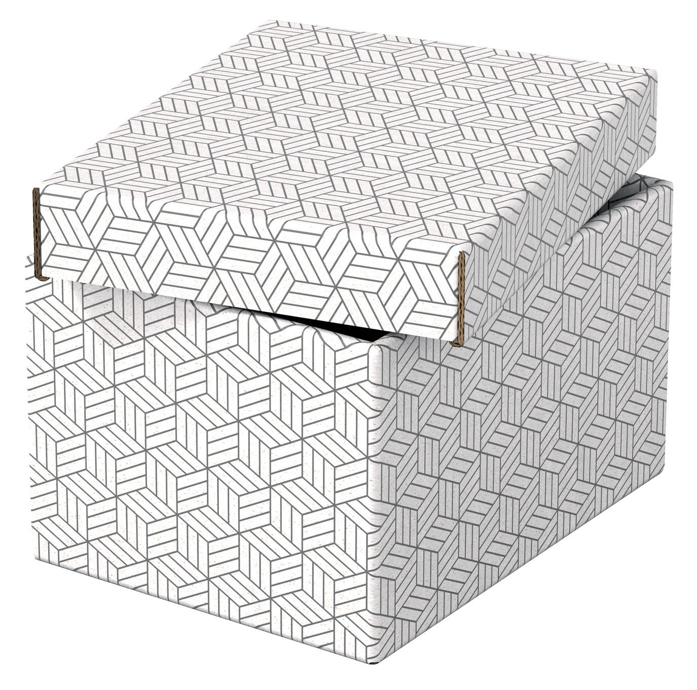 Cutie depozitare cu capac 25 x 20 x 15 cm alba recycled esselte [4]