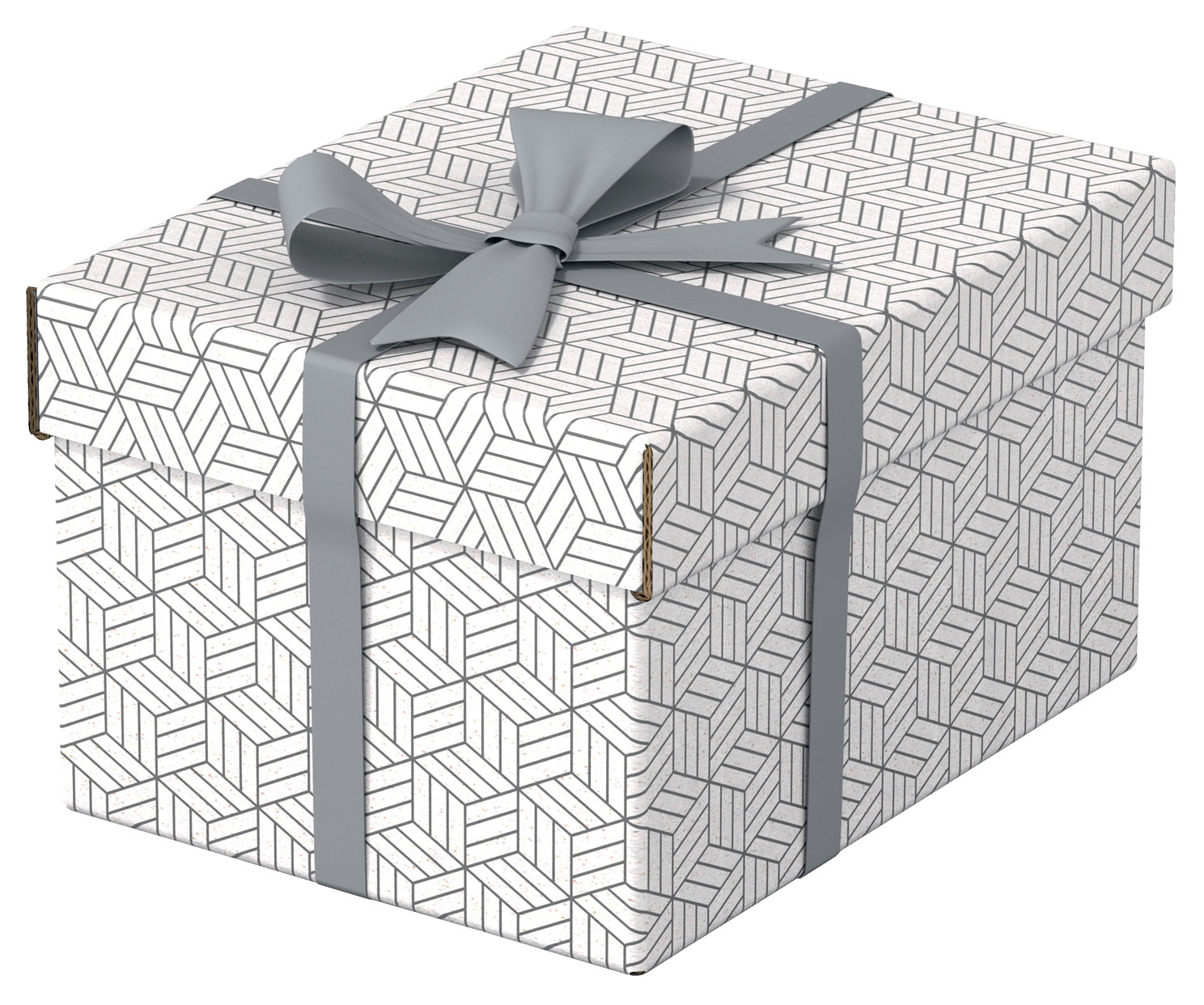 Arhivare - Cutie depozitare cu capac 25 x 20 x 15 cm alba recycled esselte