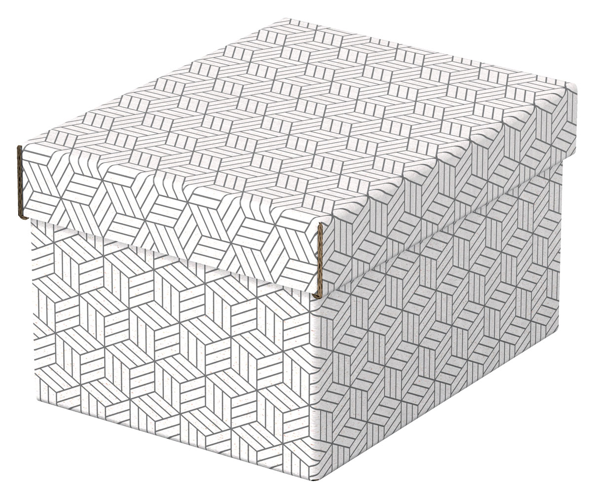Cutie depozitare cu capac 25 x 20 x 15 cm alba recycled esselte [1]