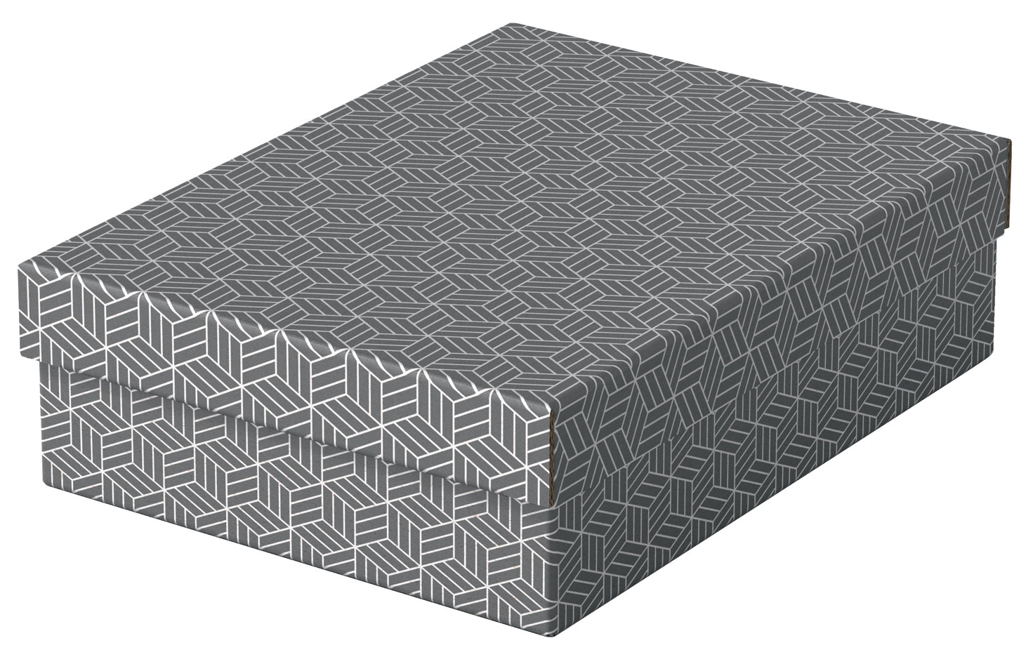 Cutie depozitare cu capac 36 x 26 x 10 cm gri recycled esselte [1]